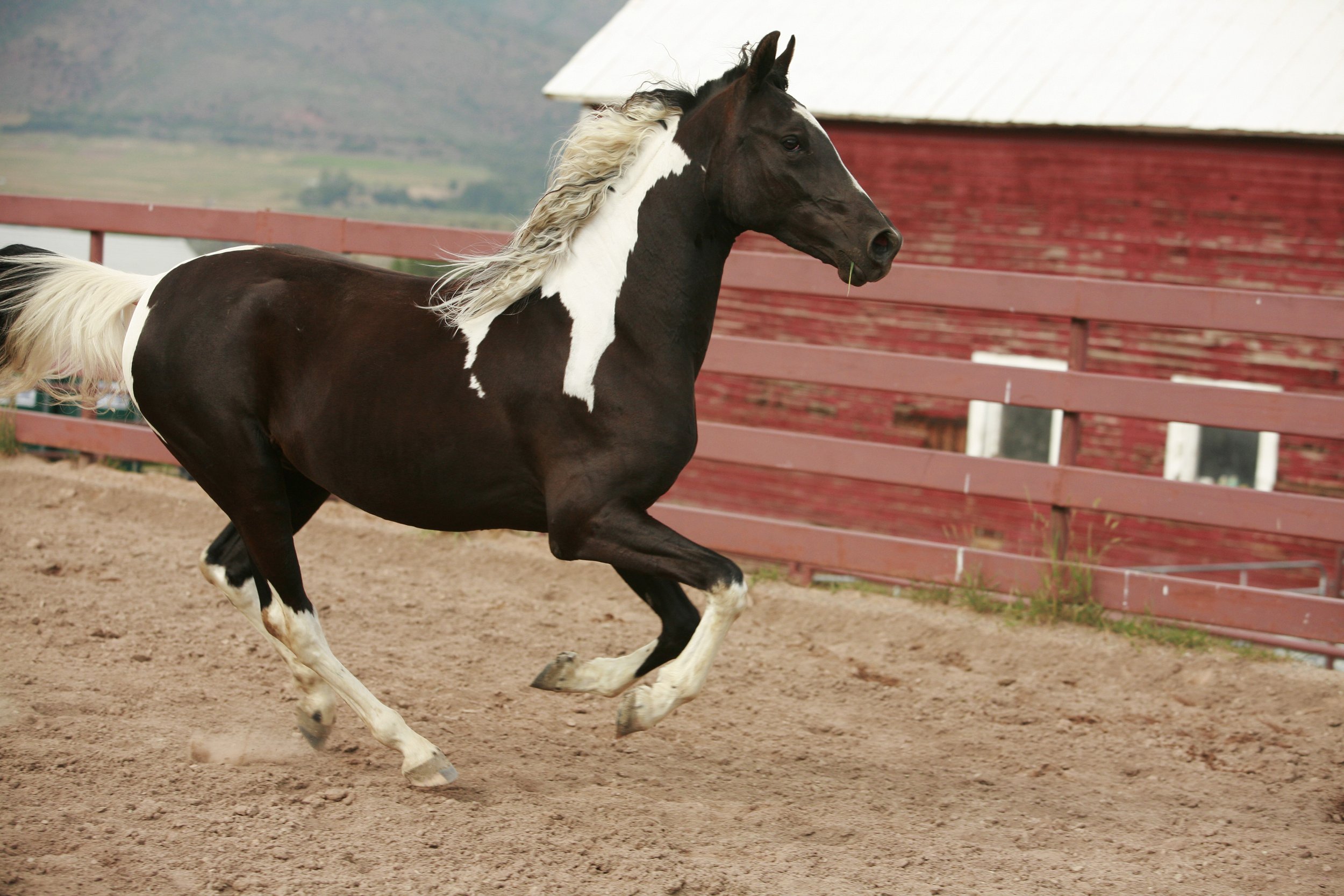 10x15 running horse aspen barn.jpg