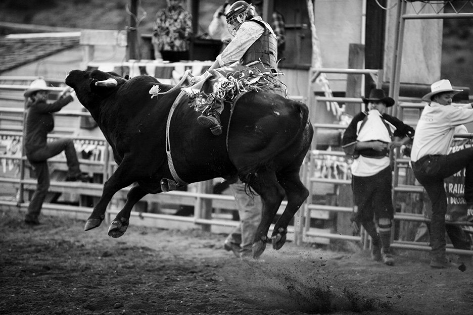 web 9x13 rodeo air ride copy.jpg