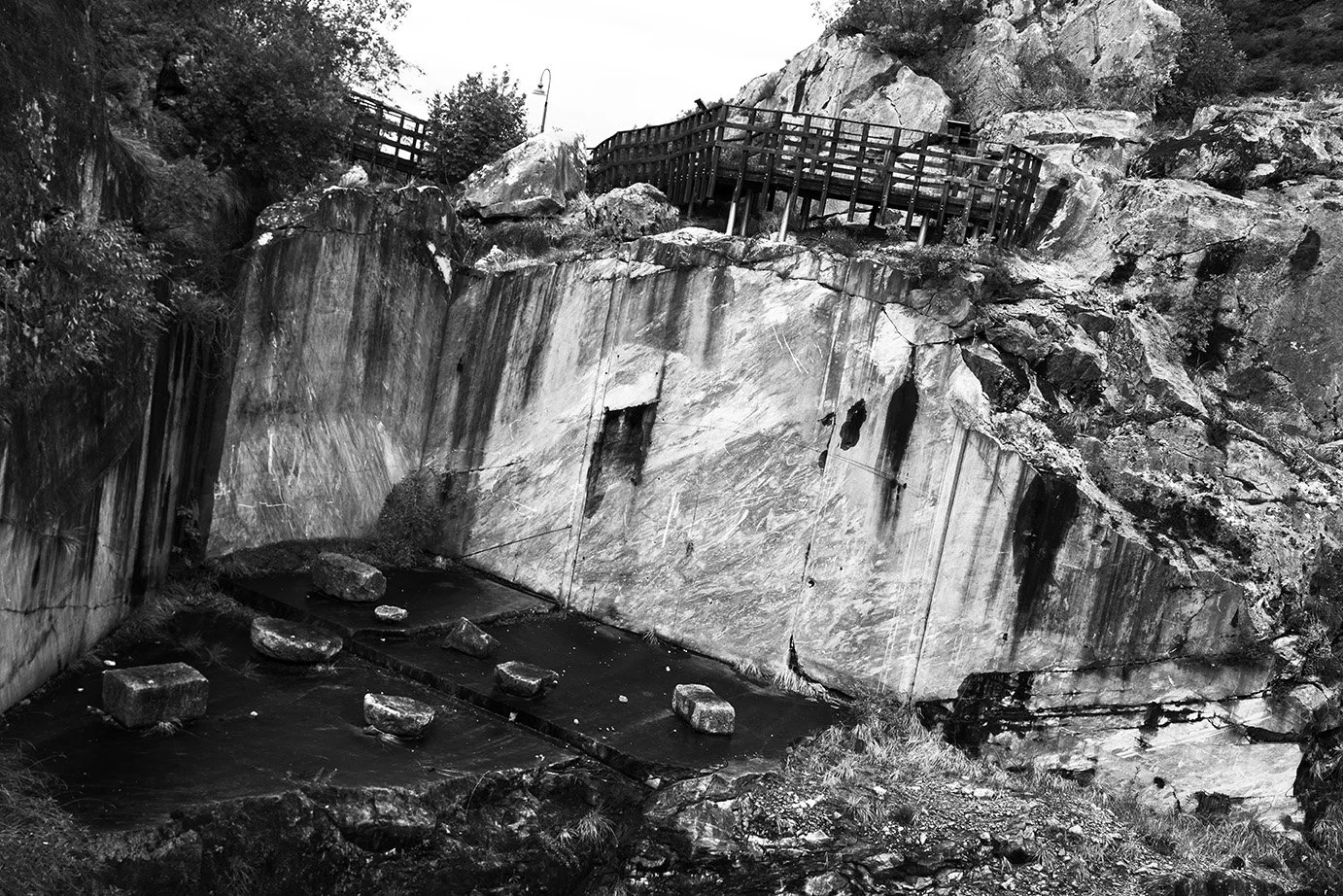 web _96A1453 copy 2.jpg