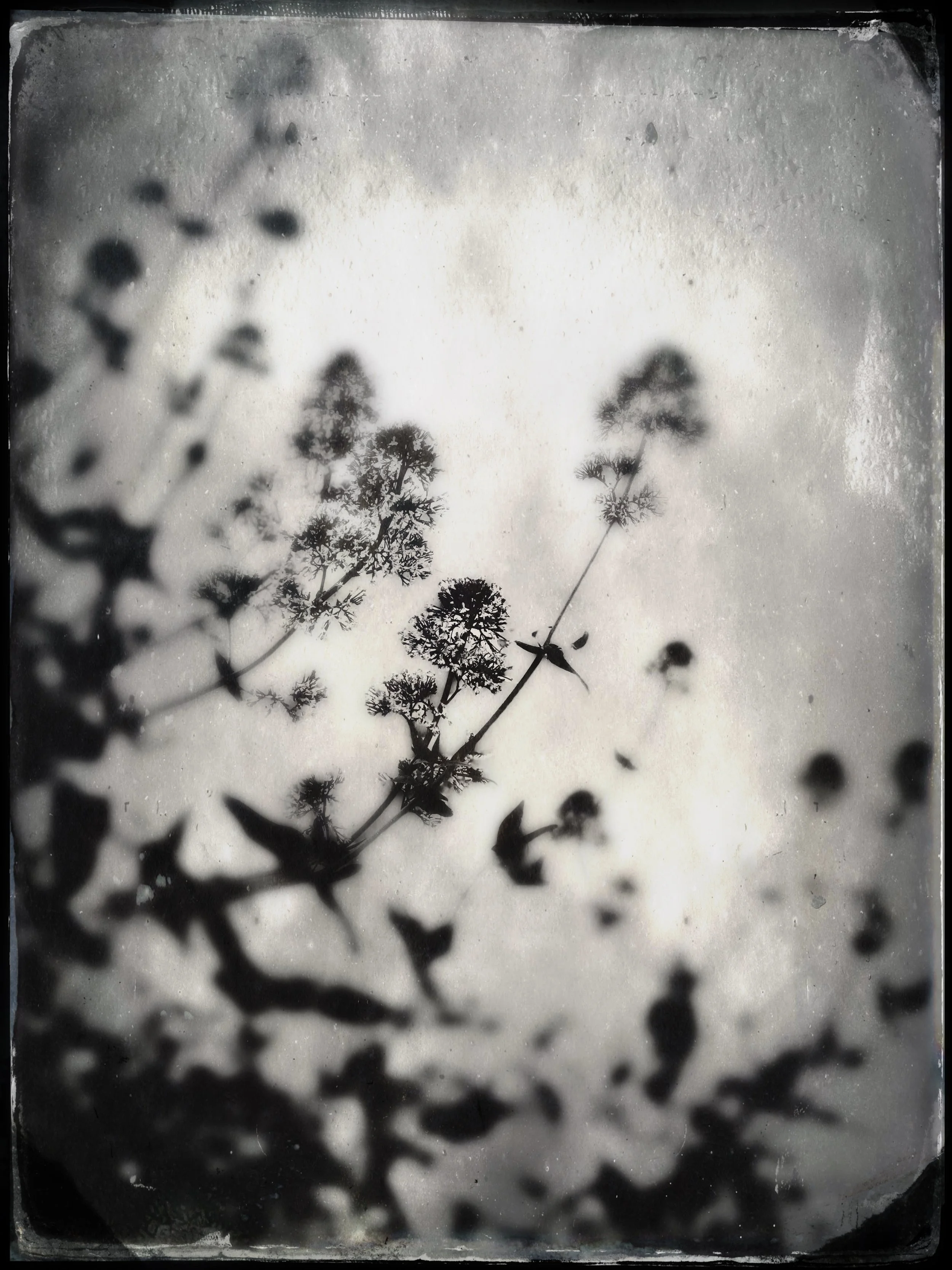 Attachment-1 (1).jpeg