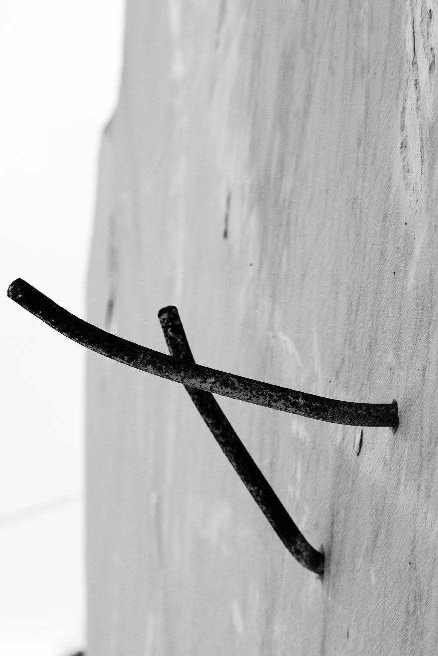 web FY6A0519 copy.jpg