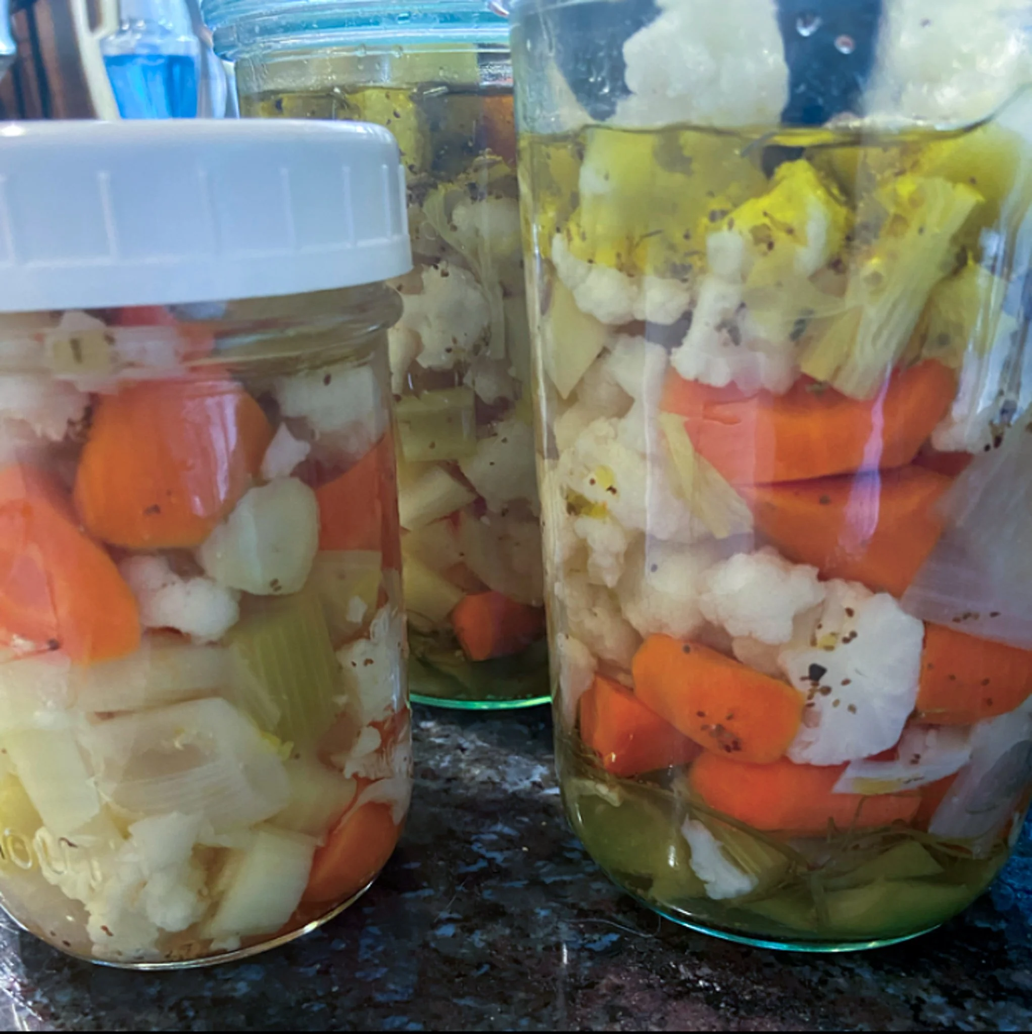 giardiniera