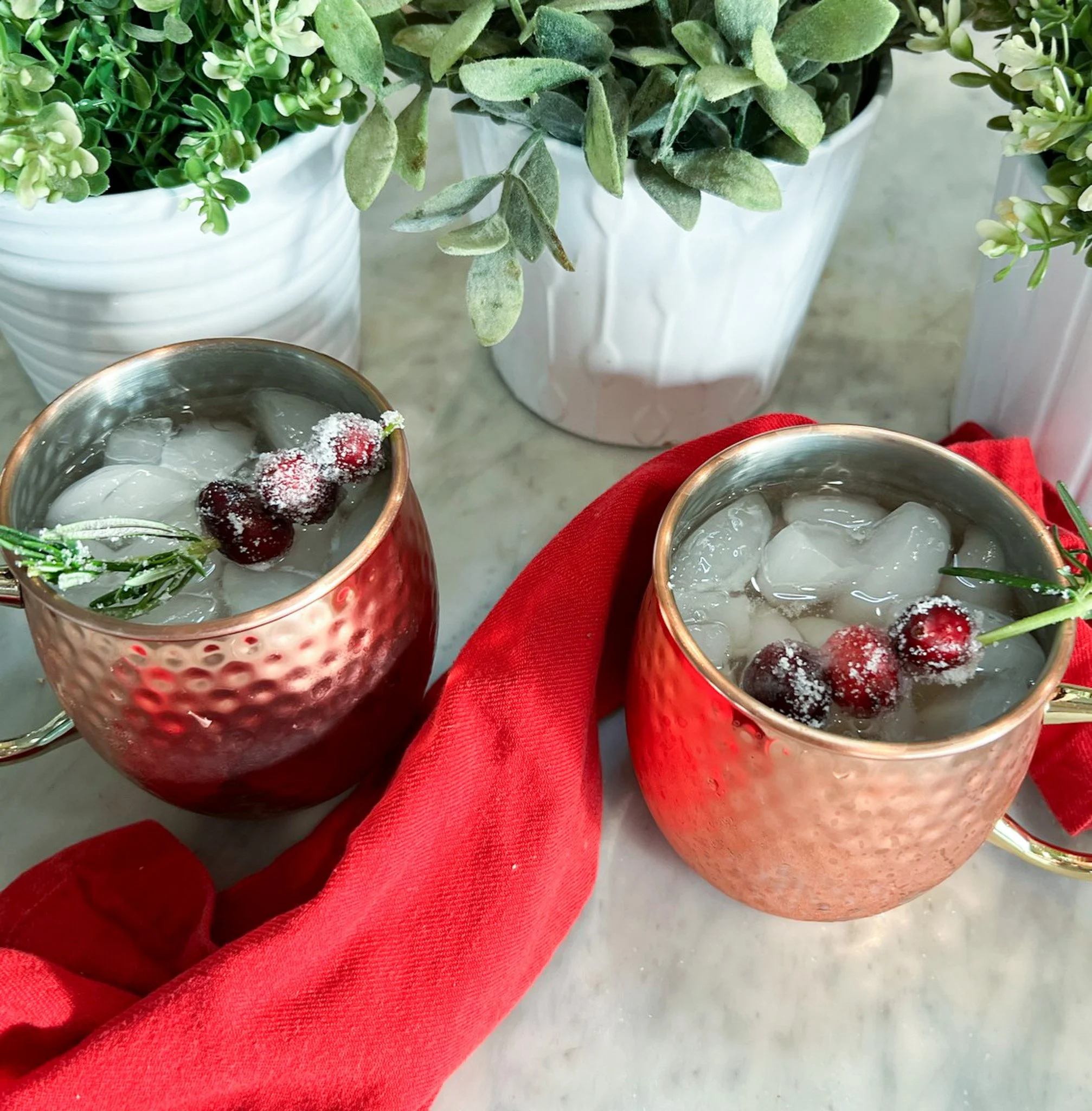 sparkling apple cranberry cider mule