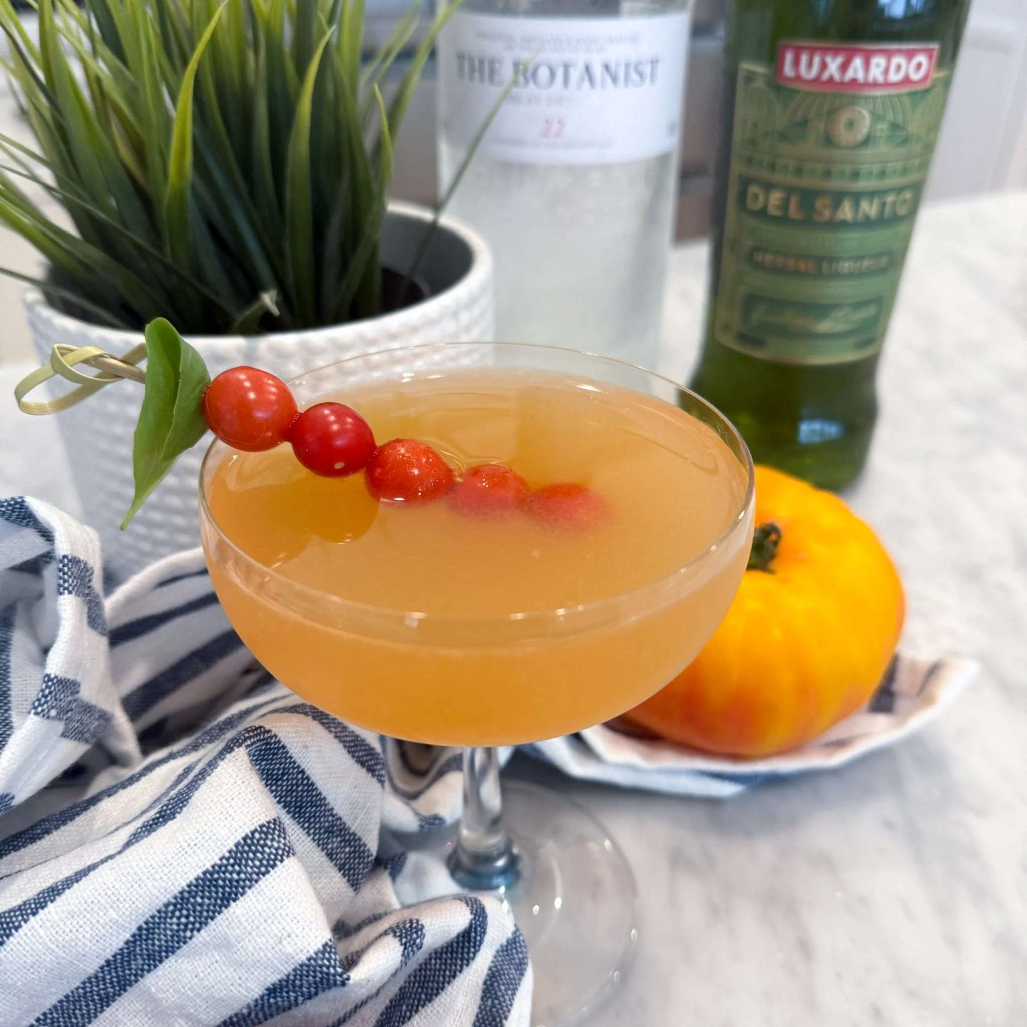 tomatotini