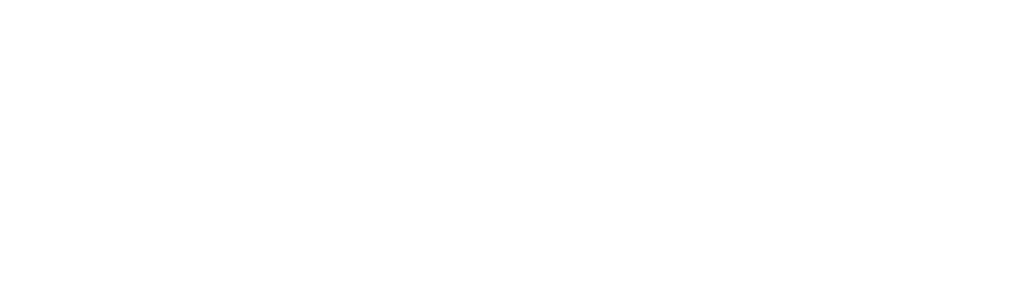 Texas Regional Drywall L.L.C.