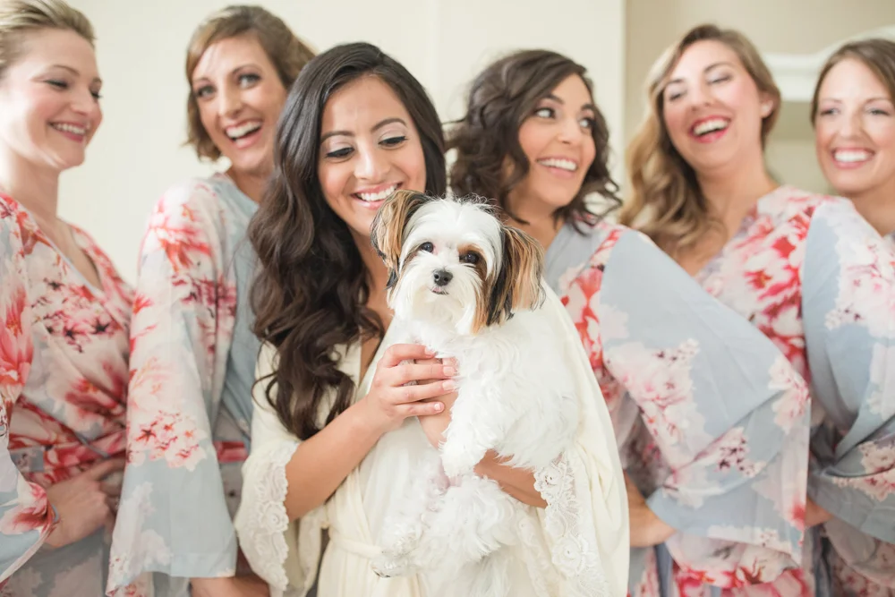 shadow_creek_weddings_breaux.jpg