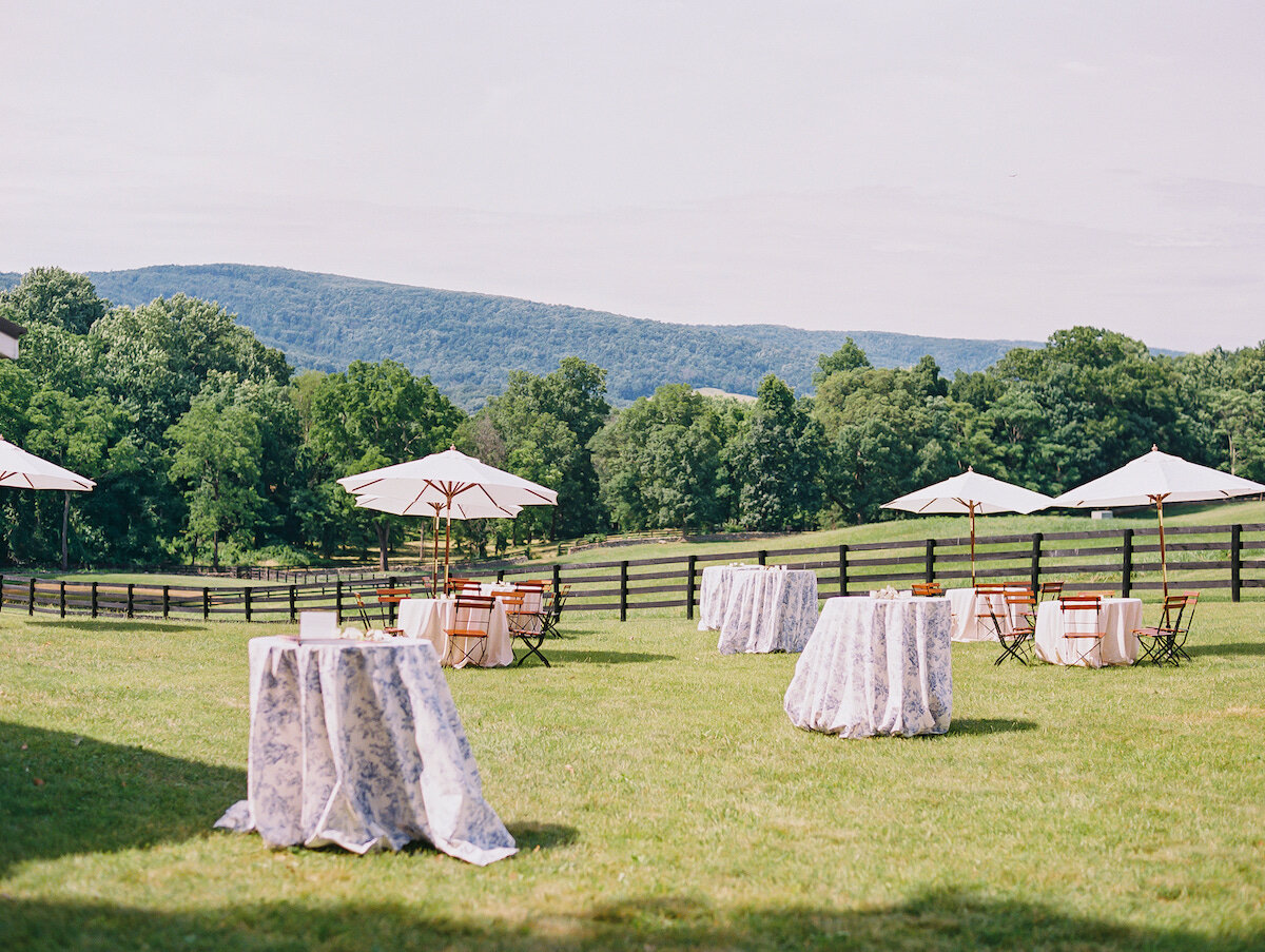 ashlee-virginia-home-private-estate-wedding-middleburg-virginia00017.jpeg