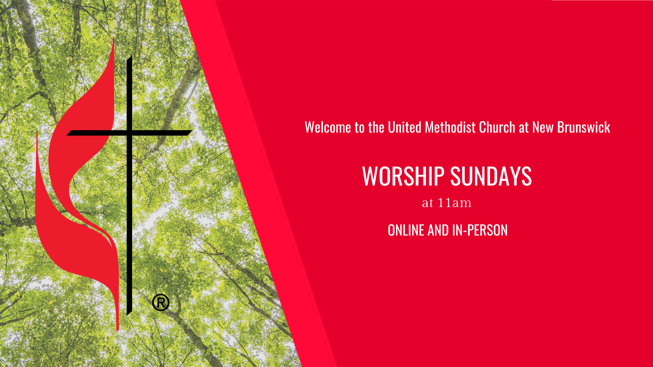 UNITED (Website) (3).png