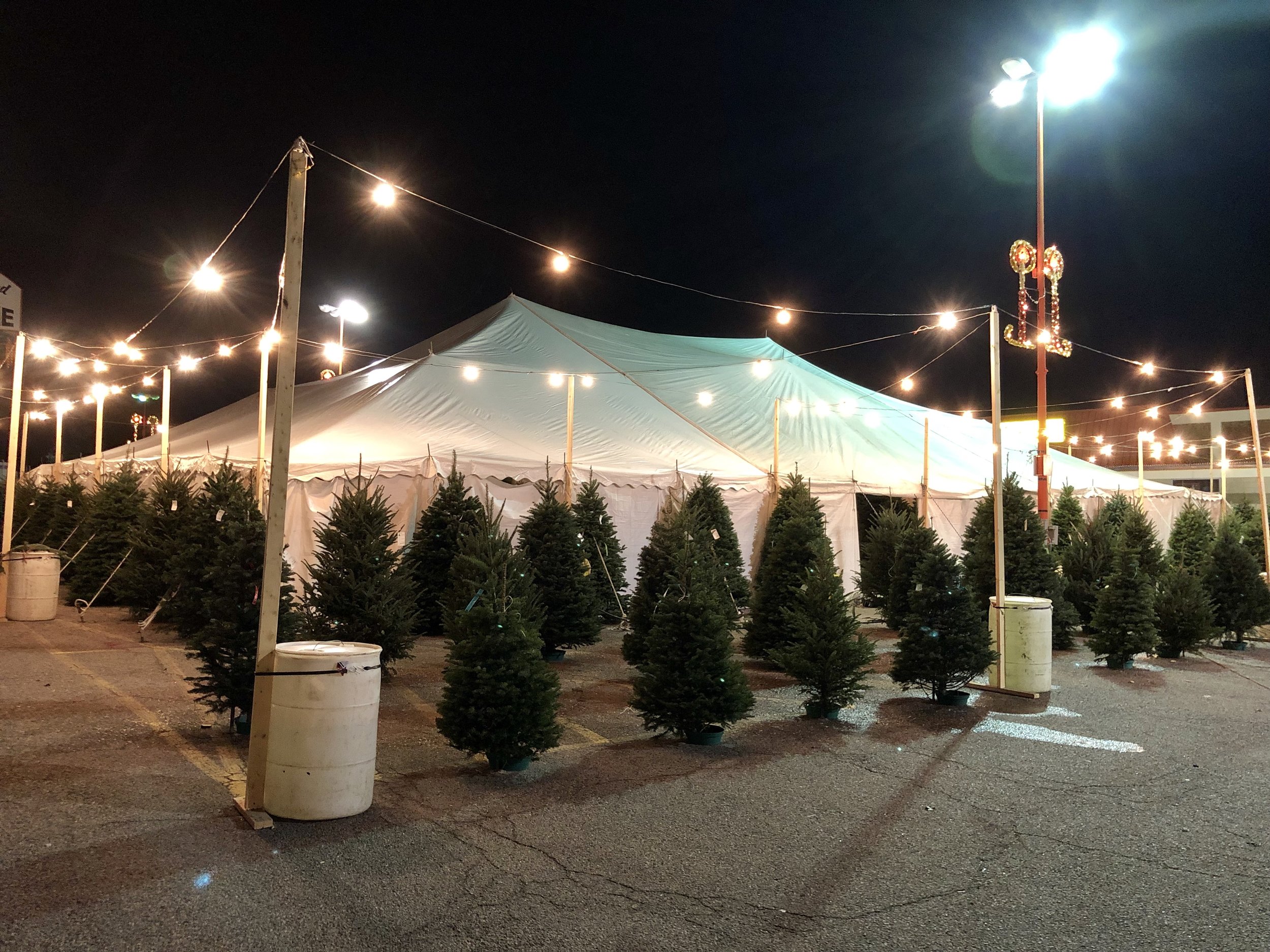 Our Christmas tree tent is located in Dallas, TX.