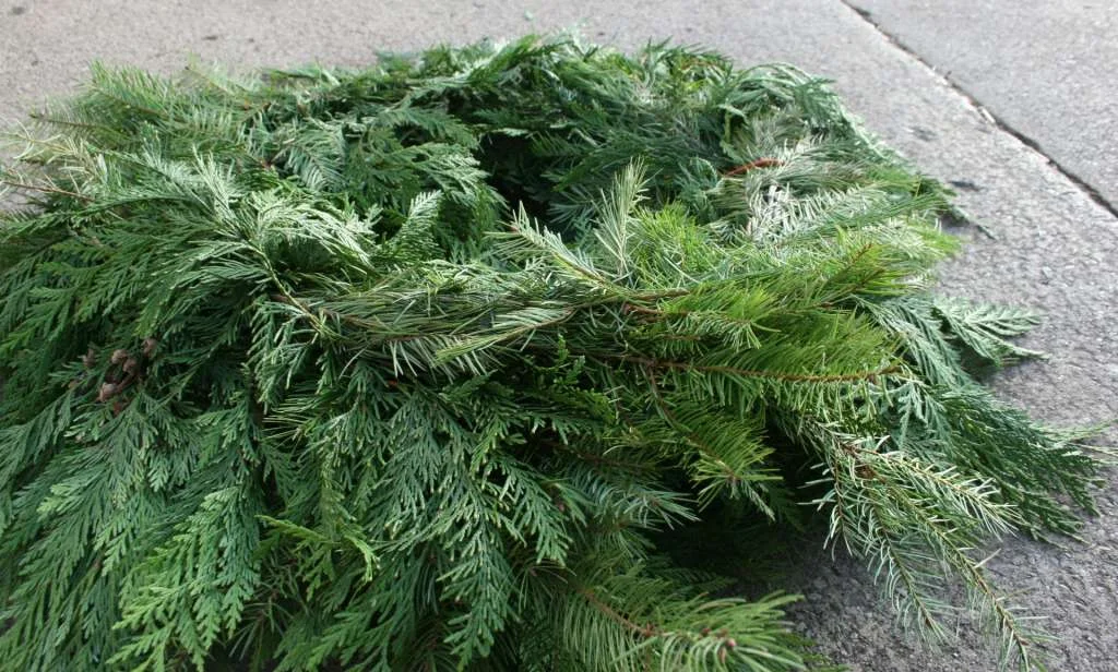 Fresh wreaths and garland sold by the foot.