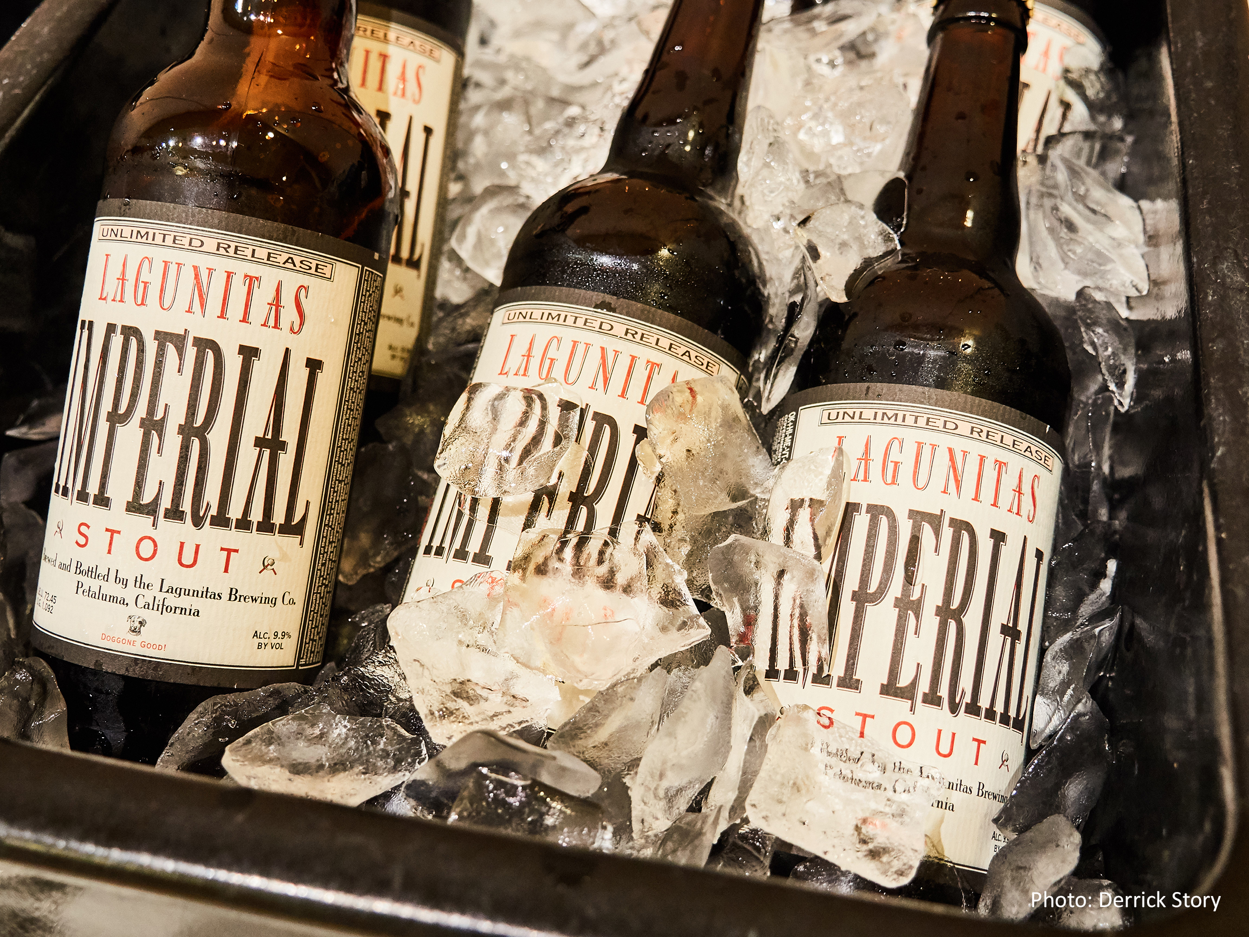 SeminarLagunitas_DerrickStory.jpg