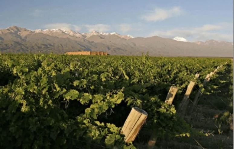 WINE TASTING - Andeluna Cellars