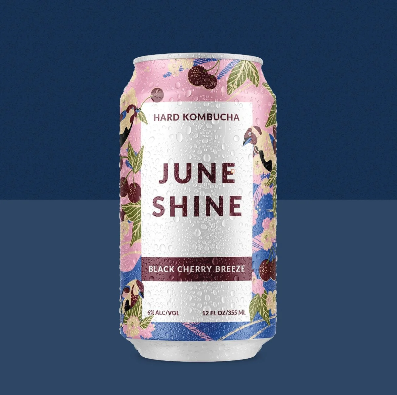 JUNESHINE - HARD KOMBUCHA TASTING 