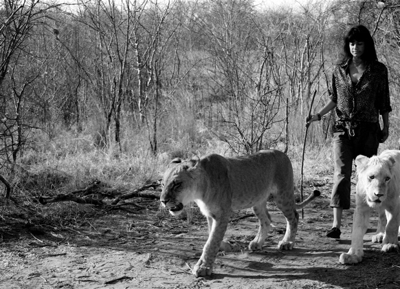 livingstone_zambia_elena_levon_walking_with_lions_21.jpg