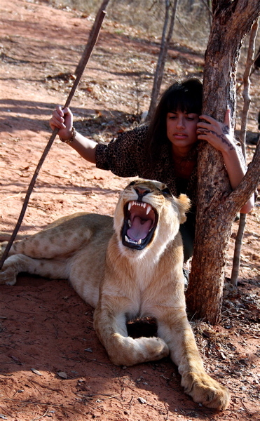 livingstone_zambia_elena_levon_walking_with_lions.jpg