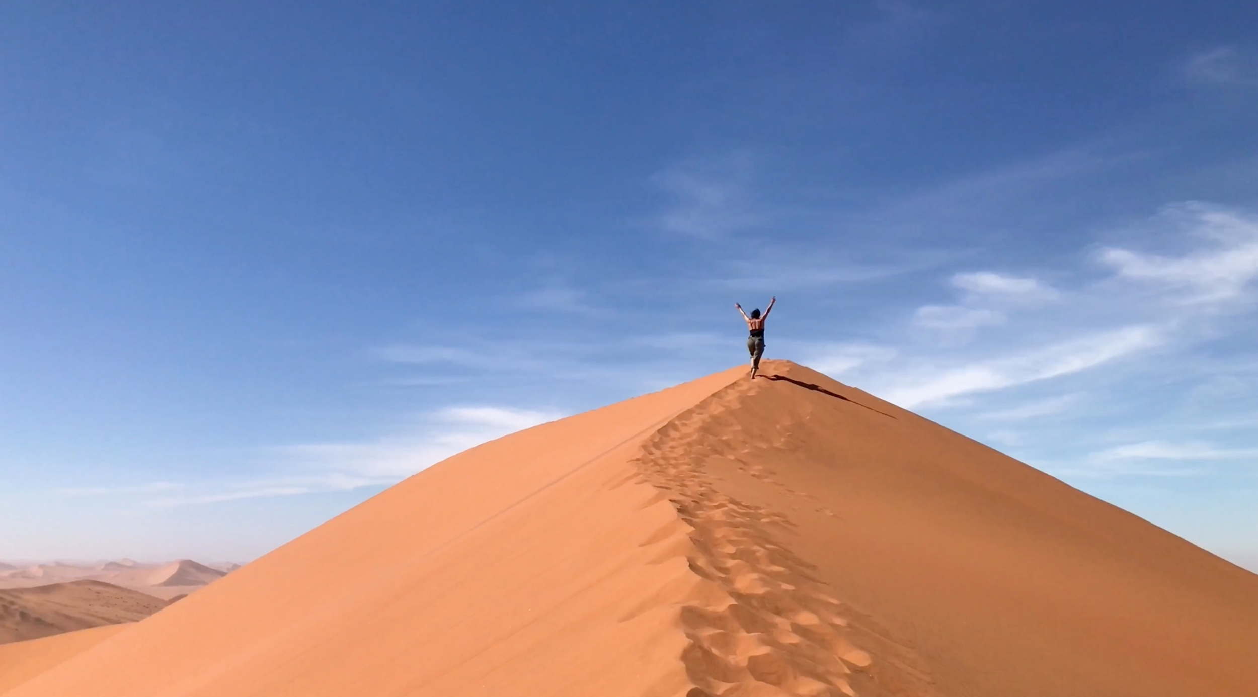 namibia-dunes-dead-trees-elena-levon.jpg