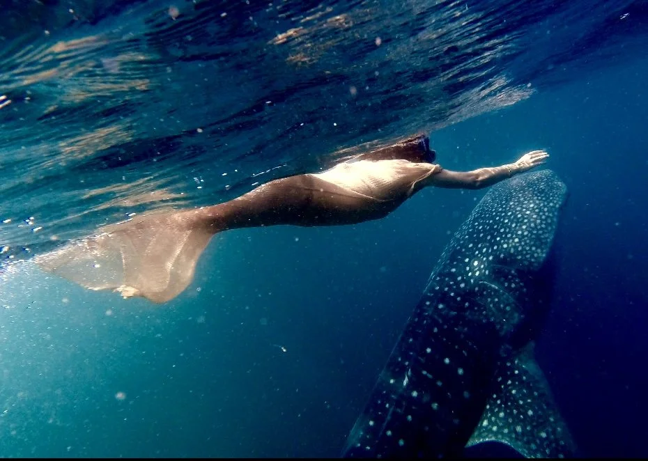 djibouti-somalia-gulf-of-aden-africa-swimming-with-whale-sharks-indian-ocean-fearless-nomadic-life-elena-levon-alone-woman-authentic-solo-overland-global-raw-expeditions-women-traveling-alone-how-to-travel-independent-explorers-epic-wild-adventure.jpg