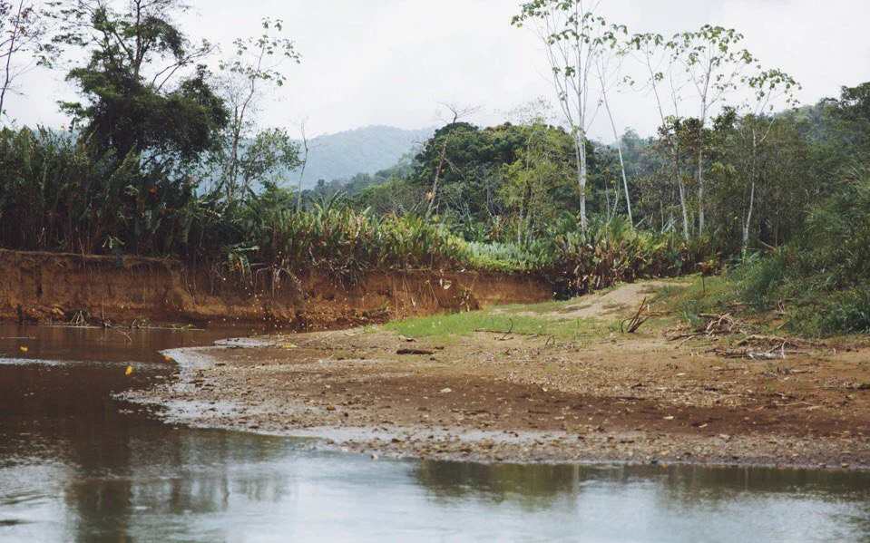 darien-gap-the-most-dangerous-jungle-in-the-world-panama-solo-travel-elena-levon-off-the-beaten-path-track-senafront-embera-tribe-into-the-wild-photography-around-the-world-unique-places28.jpg