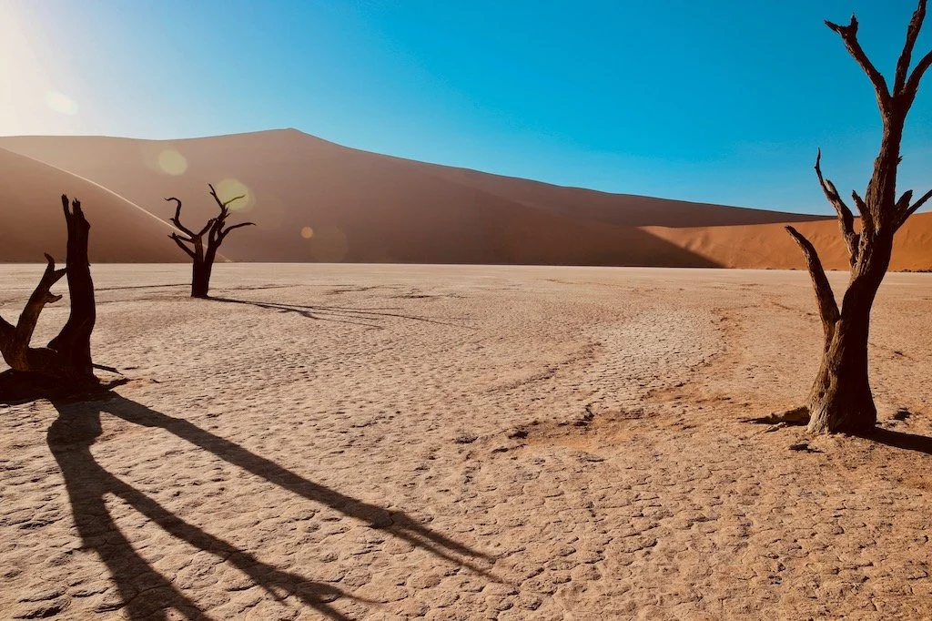 elena-levon-namibia-photoshoot-dead-trees-desert-1 copy 2.jpg