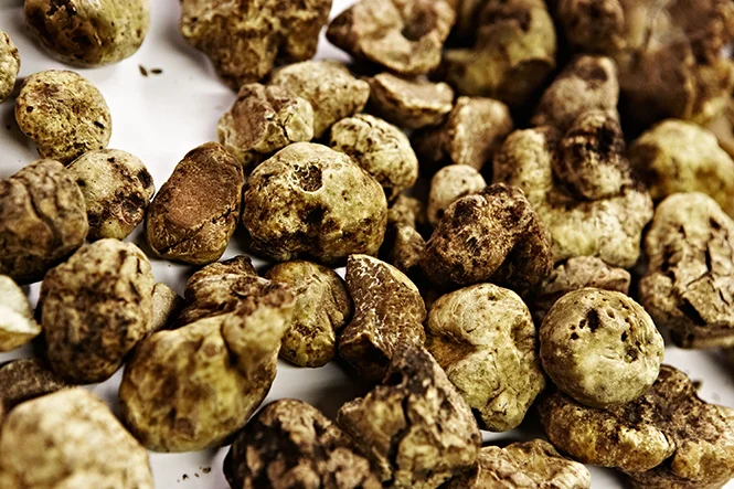 Click here to read the whole story on Eater.