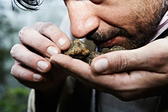 Off The Map With Italy's Best Truffle Hunter