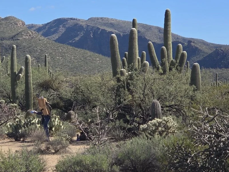 Jill Carver Workshop at Sabino Canyon 2025