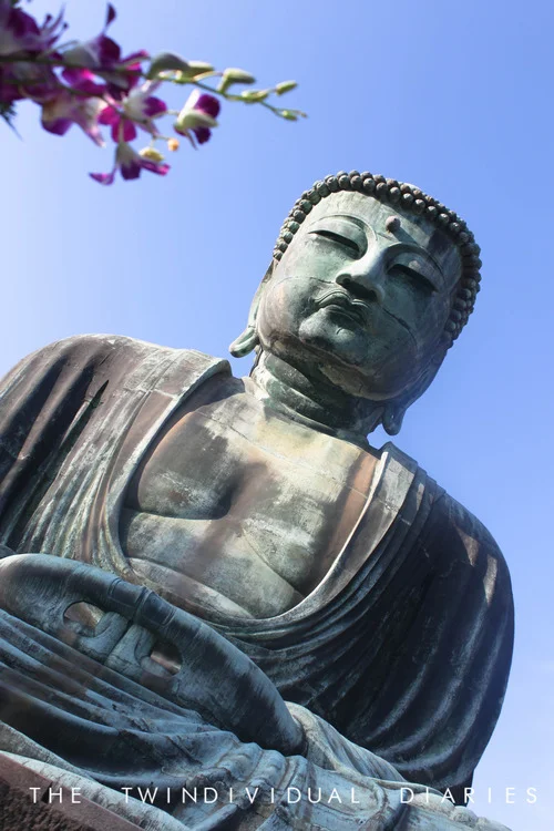 When you realise how perfect everything is, you will tilt your head back and laugh at the sky...