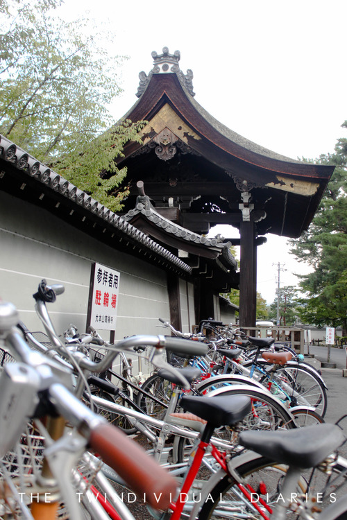 The amount of bicycles everywhere is a reflection of the simple life in Kyoto compared to the cars and taxis of Tokyo