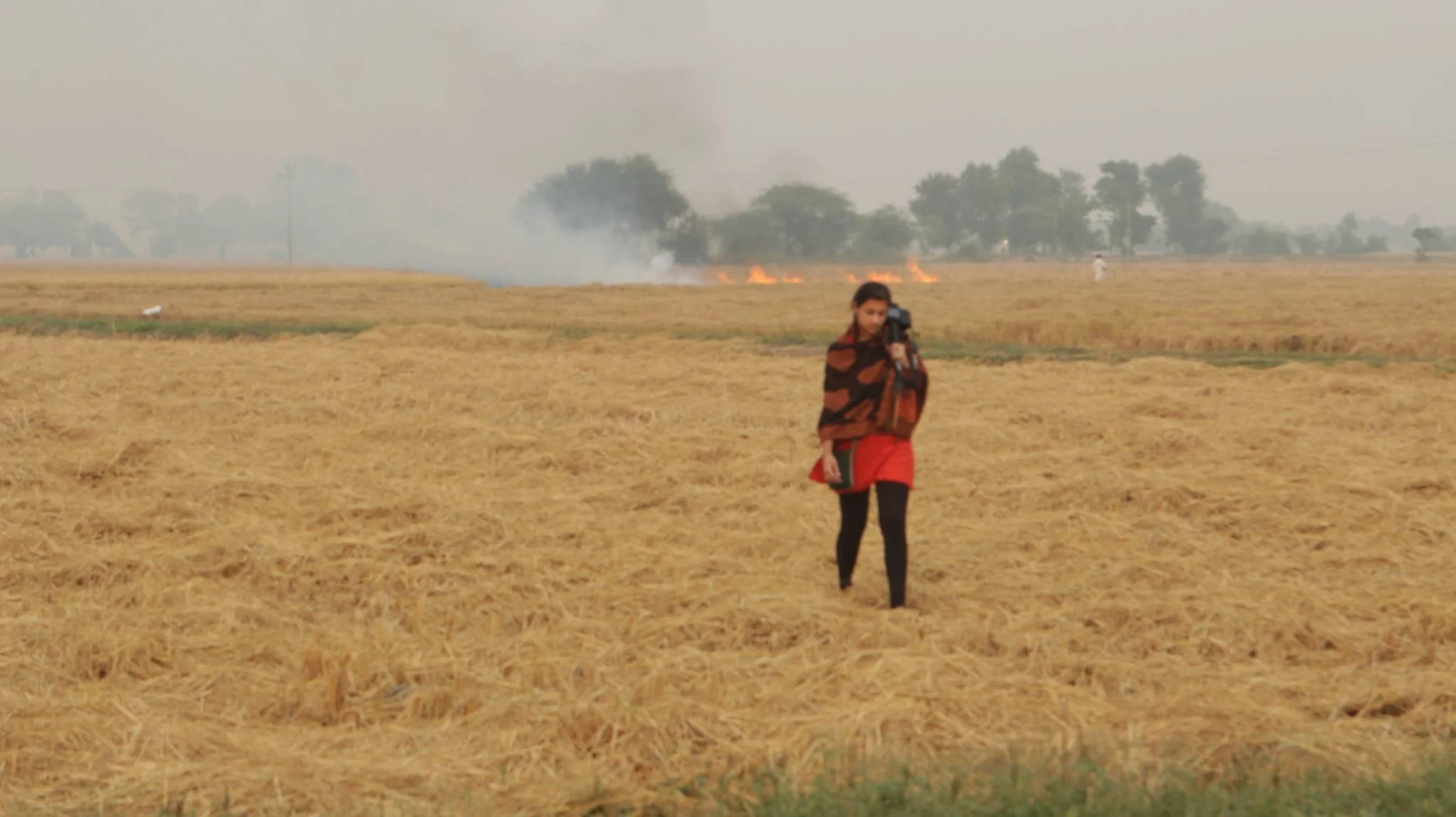 Burning the field is comonplace in October, but terrible for the environment