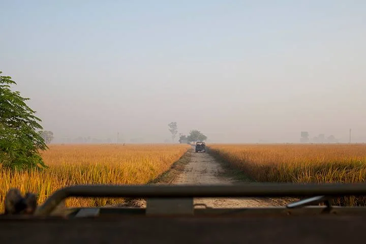 Our Indian producer lent us Jeeps and let us loose in the farmland of Sangrur