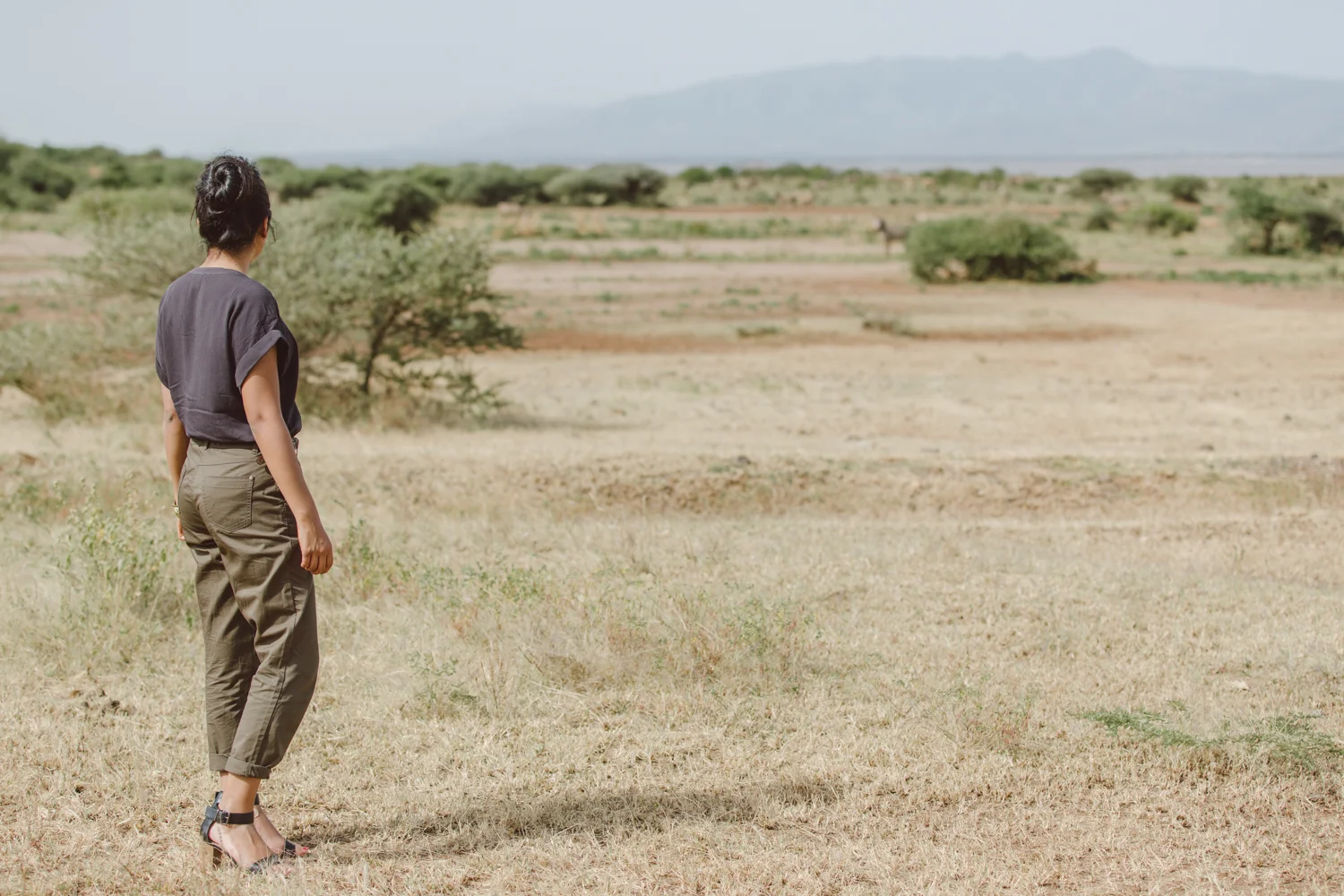 Looking over at the flamingos in Lake Manyara National Park