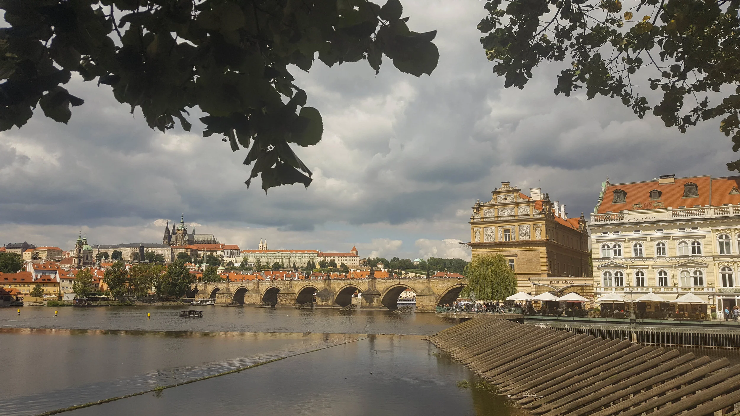 20170821_123618.jpg