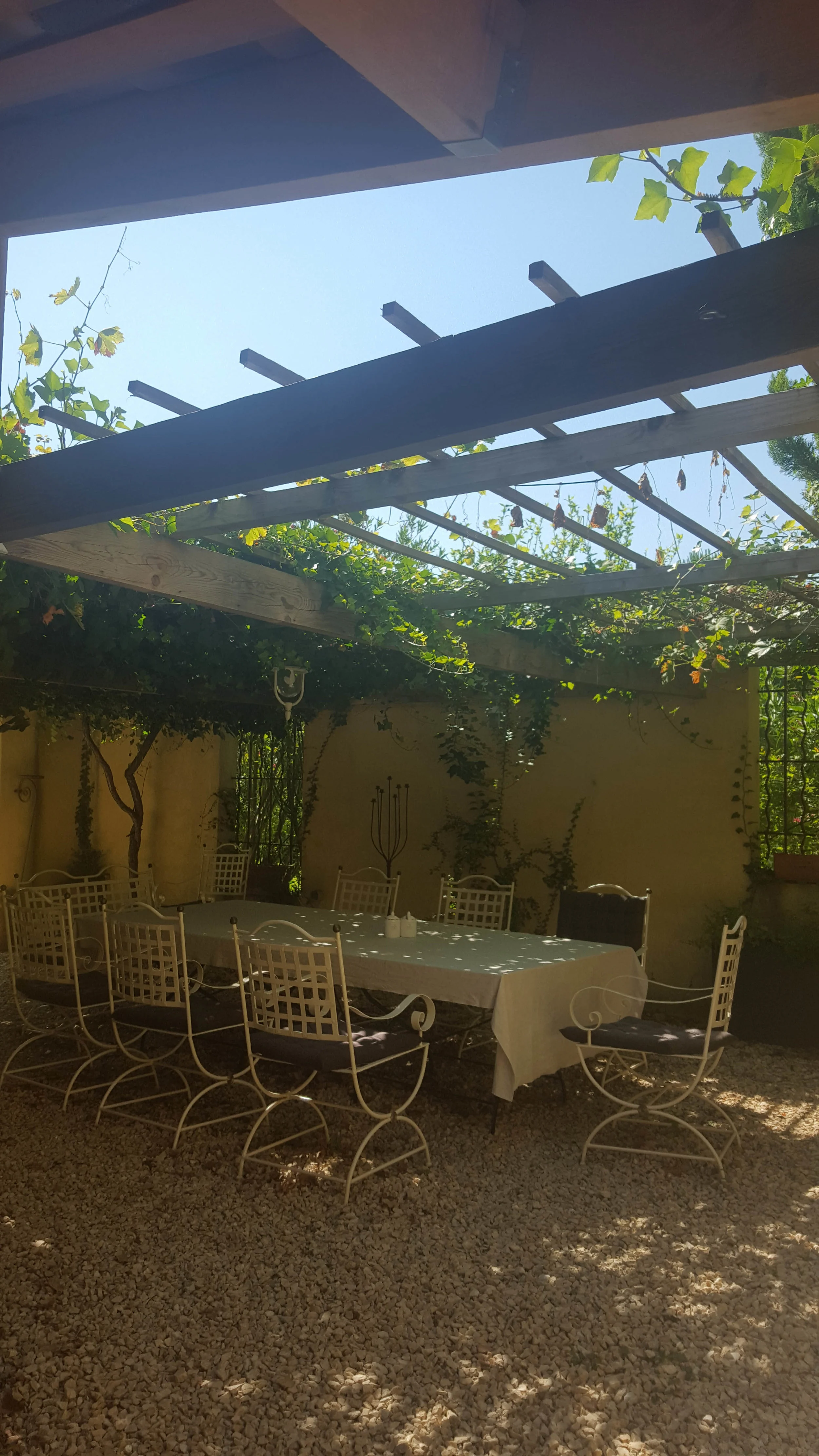 20180630_093140.jpg