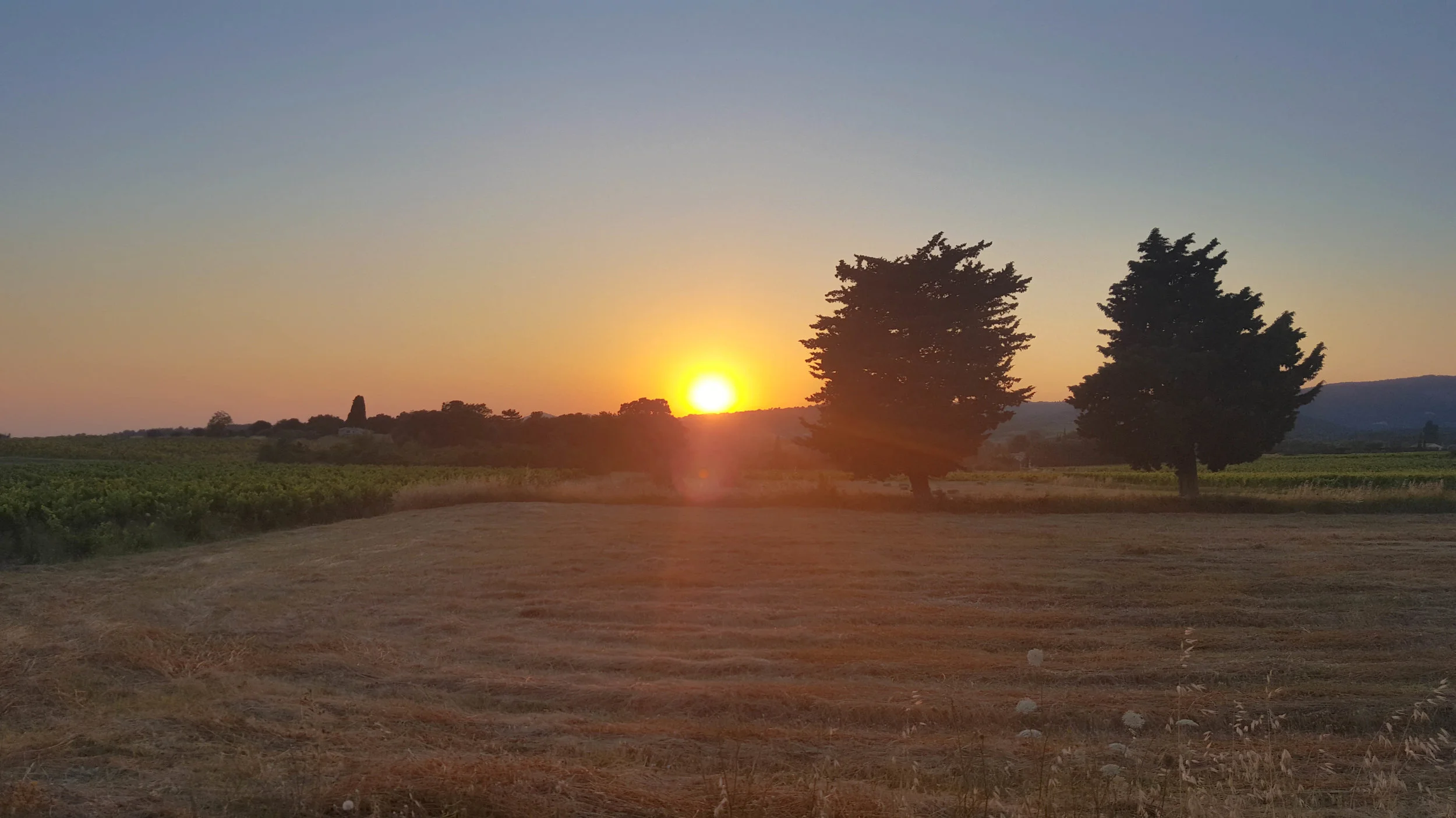 20180629_200742.jpg