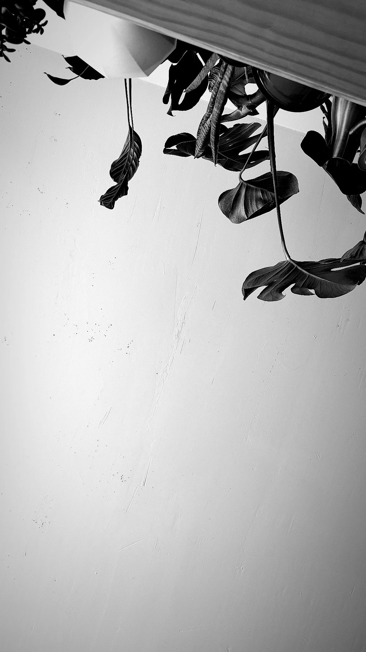 FCEEA1B7-A7E3-44EC-A55C-6F4606B2A63F.JPG