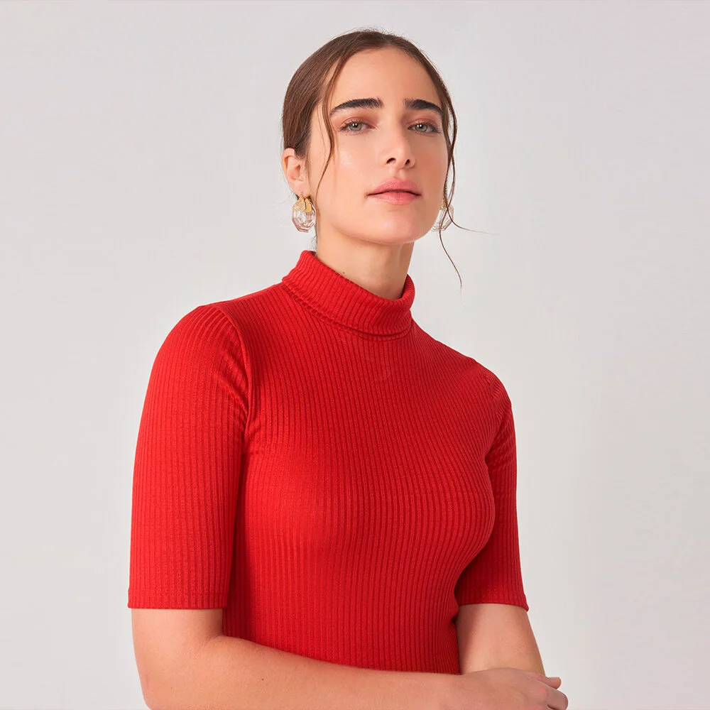 modelo blusa gola alta