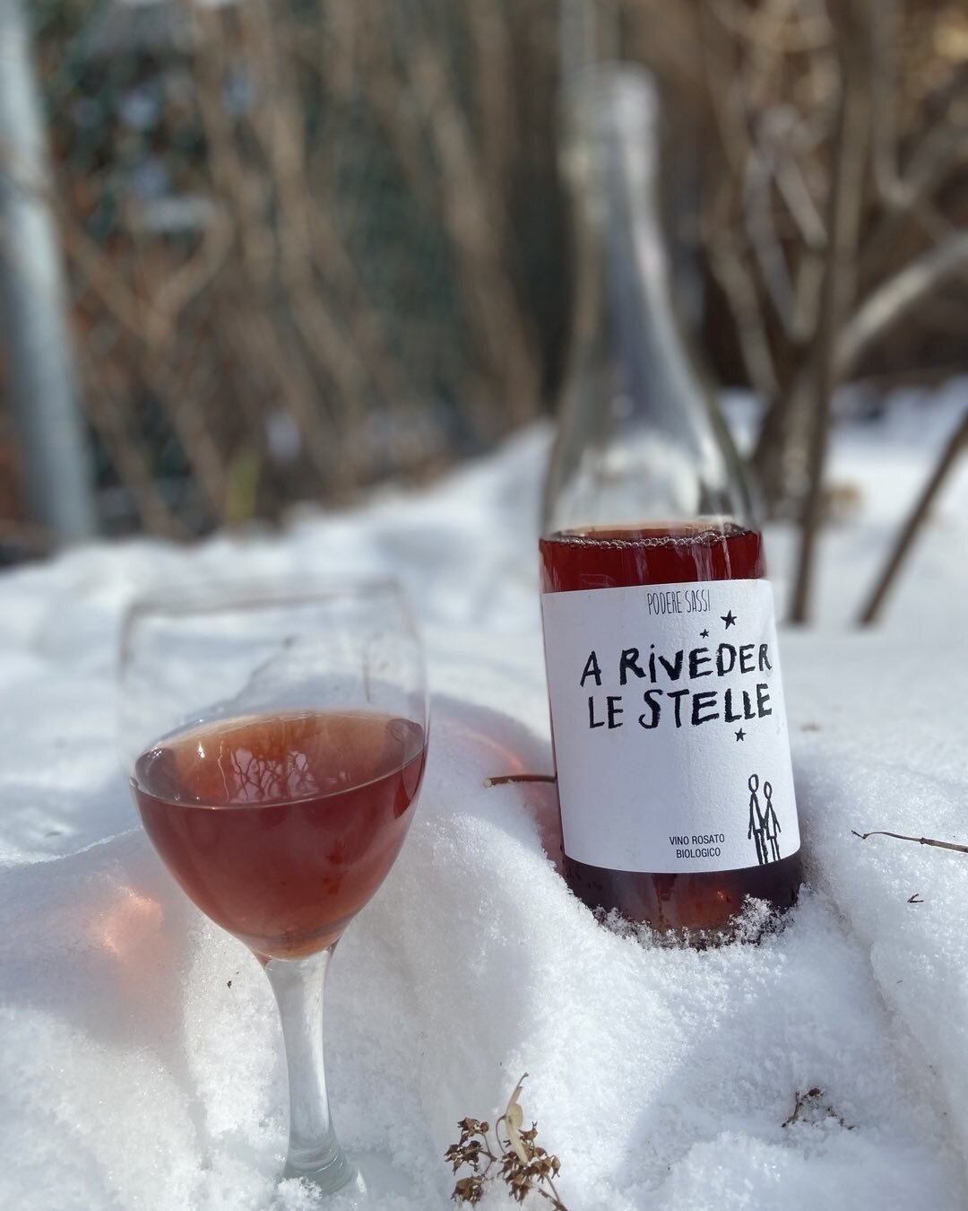 Alerte Promo!! A riveder le stelle. Un rosato du Lazio (ciliegiolo et cesanese) qui saura vous r&eacute;chauffer au c&oelig;ur de l&rsquo;hiver. Visitez notre boutique en ligne pour vous le procurer. 

#poderesassio #vinonaturalelazio #ciliegiolo #ce