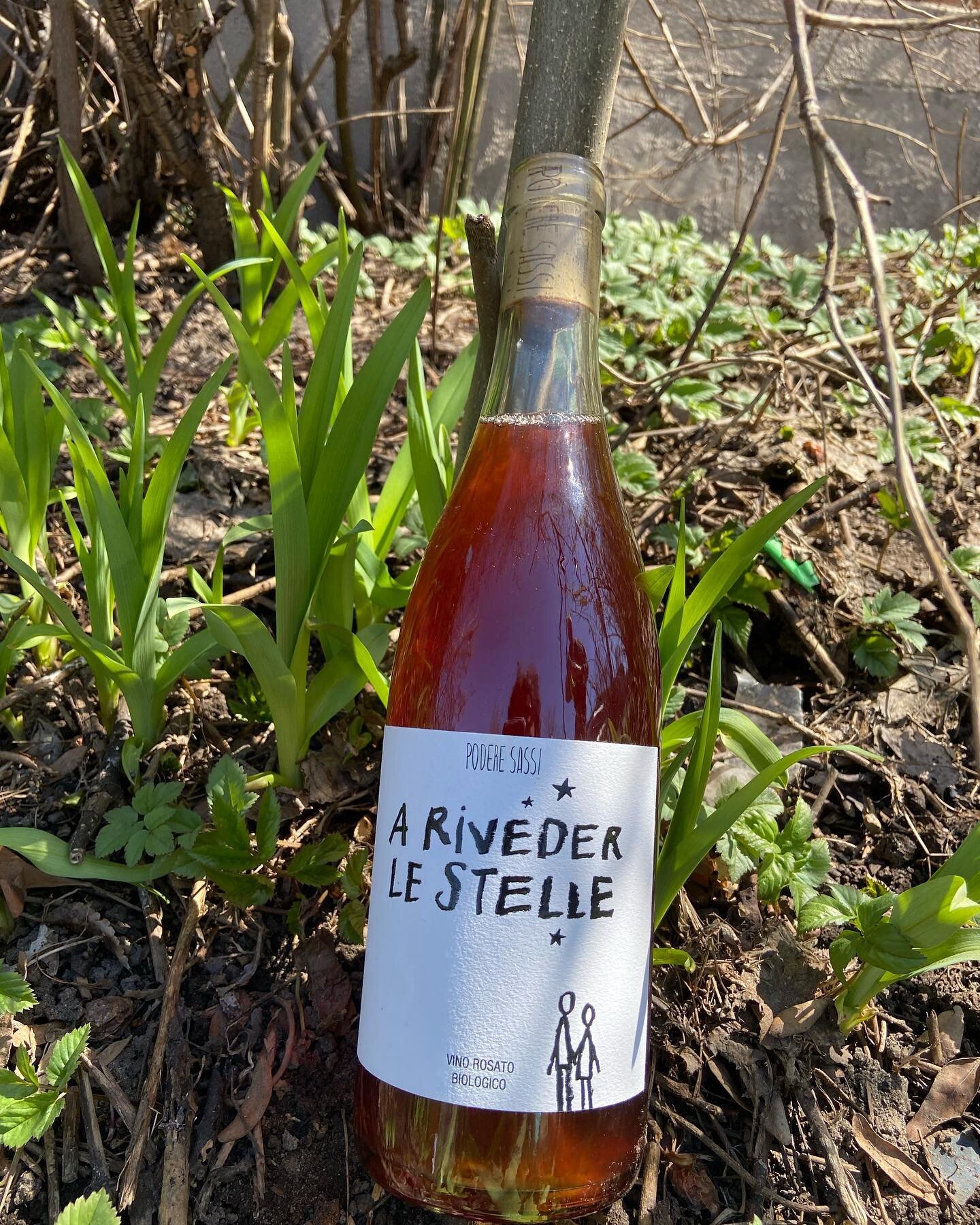 Promo de bulles et de Rosato &agrave; faire r&ecirc;ver sur notre boutique en ligne. Quantit&eacute;s limit&eacute;es. lesvinsdejulie.com