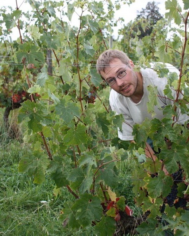 ❗Alerte nouveau producteur de la Loire❗Bienvenue au Qu&eacute;bec aux vins de #thomasboutin, jeune vigneron fran&ccedil;ais dont la premi&egrave;re motivation est d&rsquo;abord celle de travailler dans l'agriculture. C&rsquo;est le plaisir gustatif, 