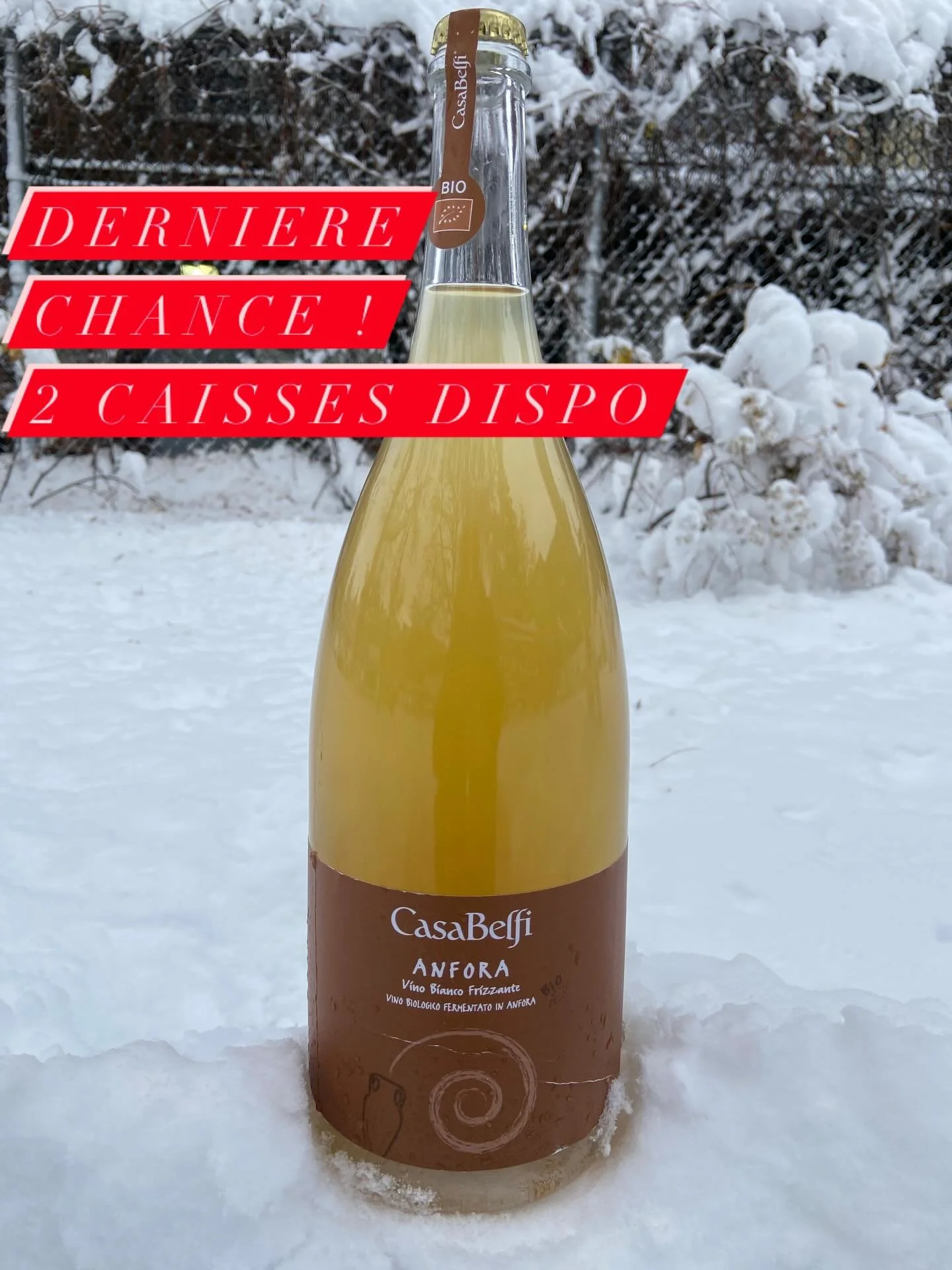 LA bulle du temps des f&ecirc;tes par excellence! Surprenez vos invit&eacute;s en ouvrant ce Magnum durant les festivit&eacute;s de fin d&rsquo;ann&eacute;e &agrave; quelques seconde du 31 d&eacute;cembre! Effet magique assur&eacute;! 🥂✨Procurez-vou