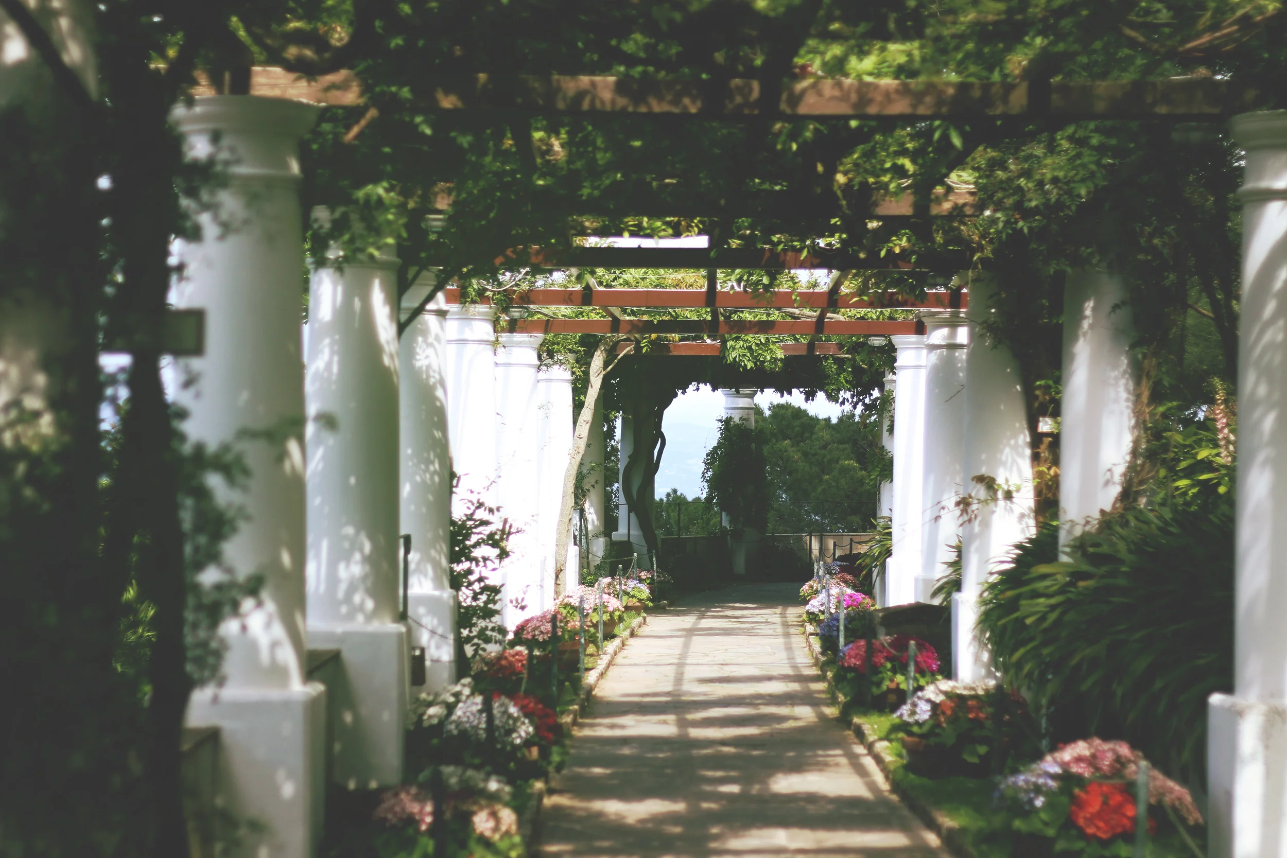 capri17.jpg