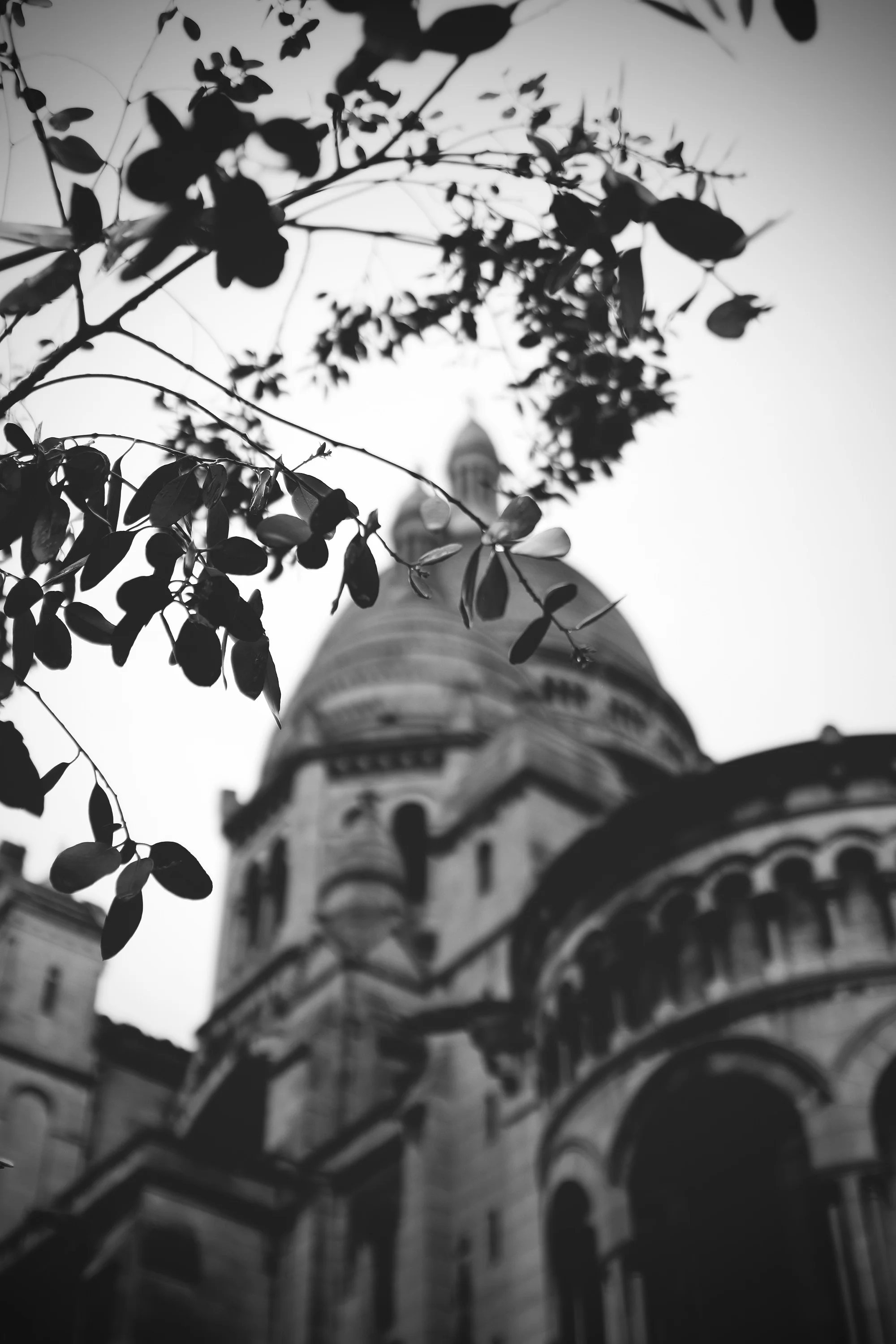 paris32.jpg