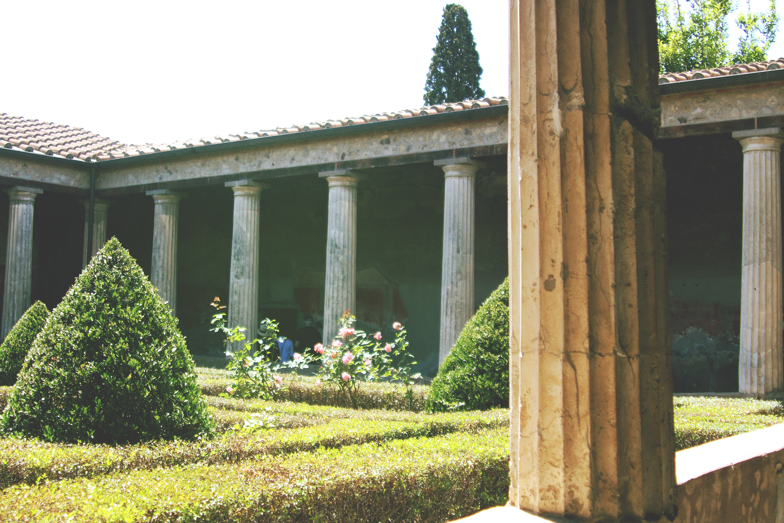 pompeii7.jpg