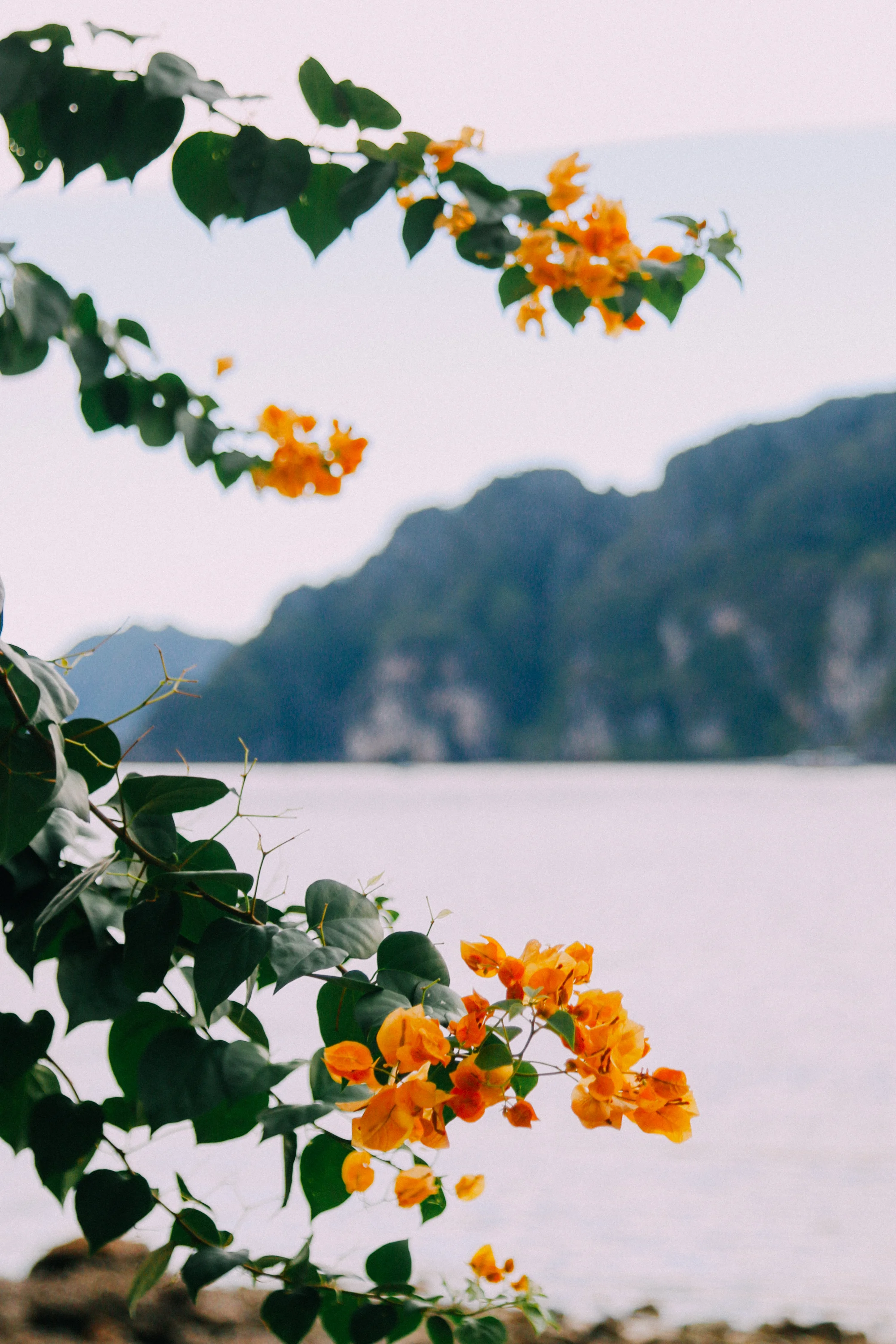 phiphi-7.jpg