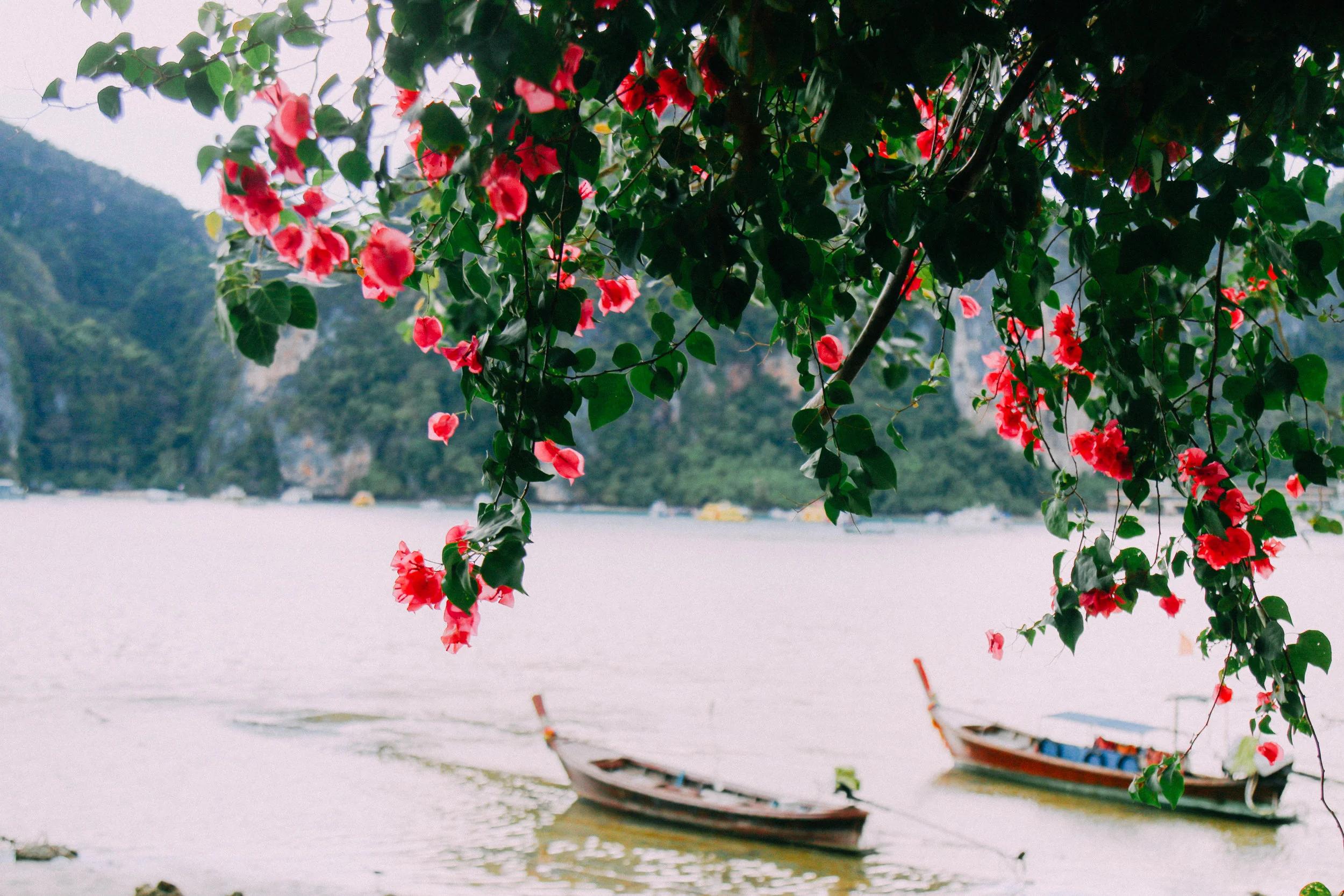 phiphi-6.jpg