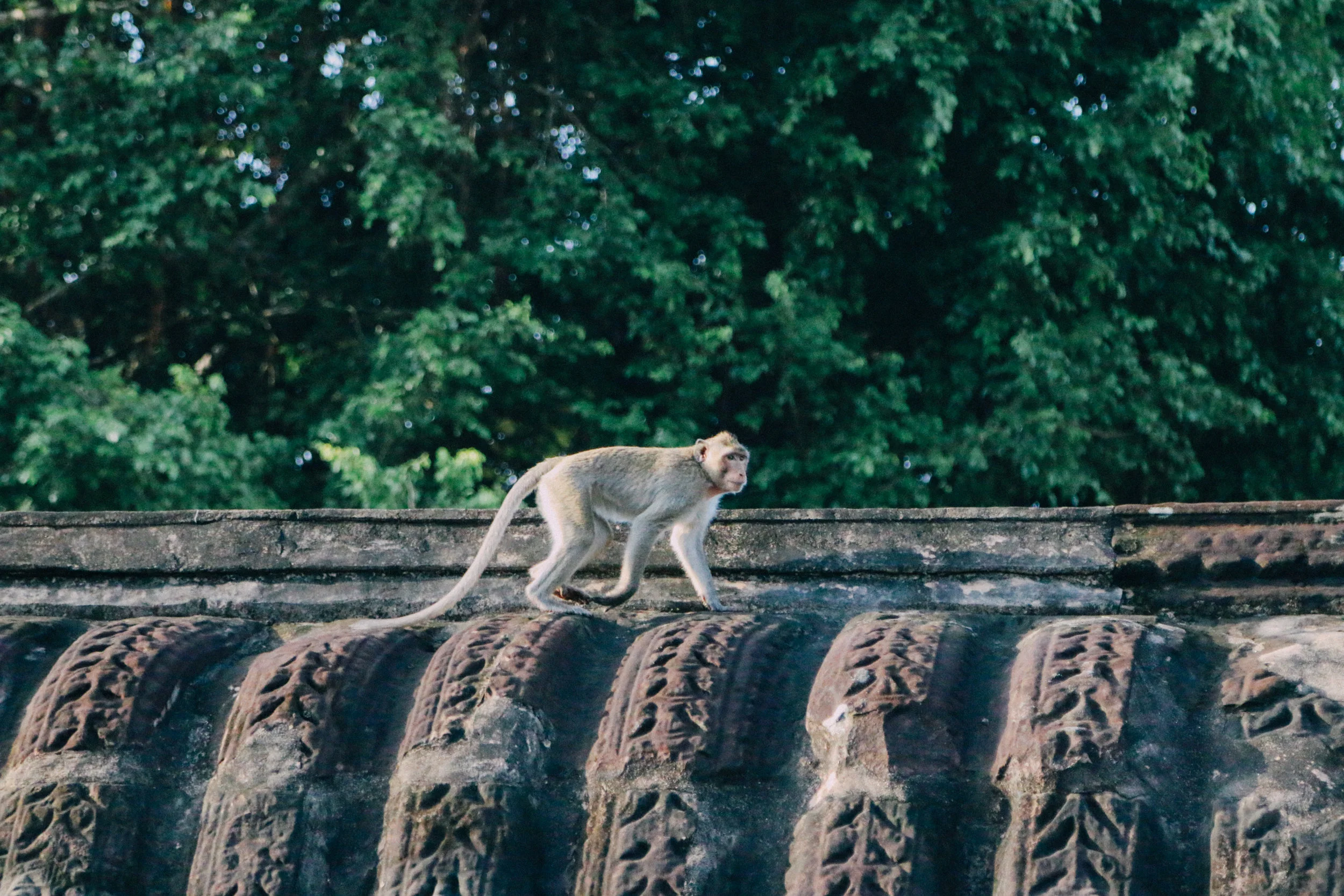 siemreap-24.jpg