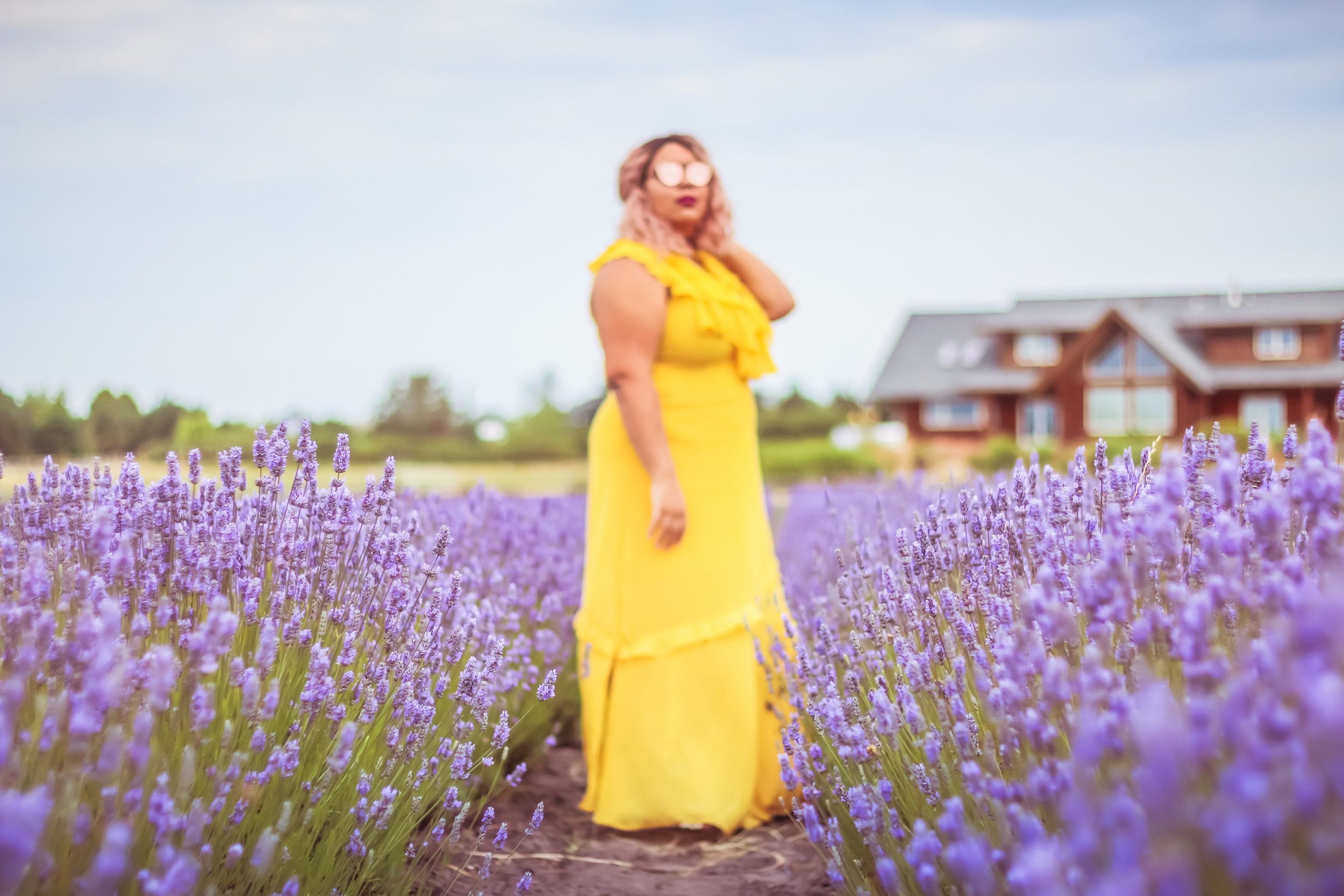 samlavender-36.jpg