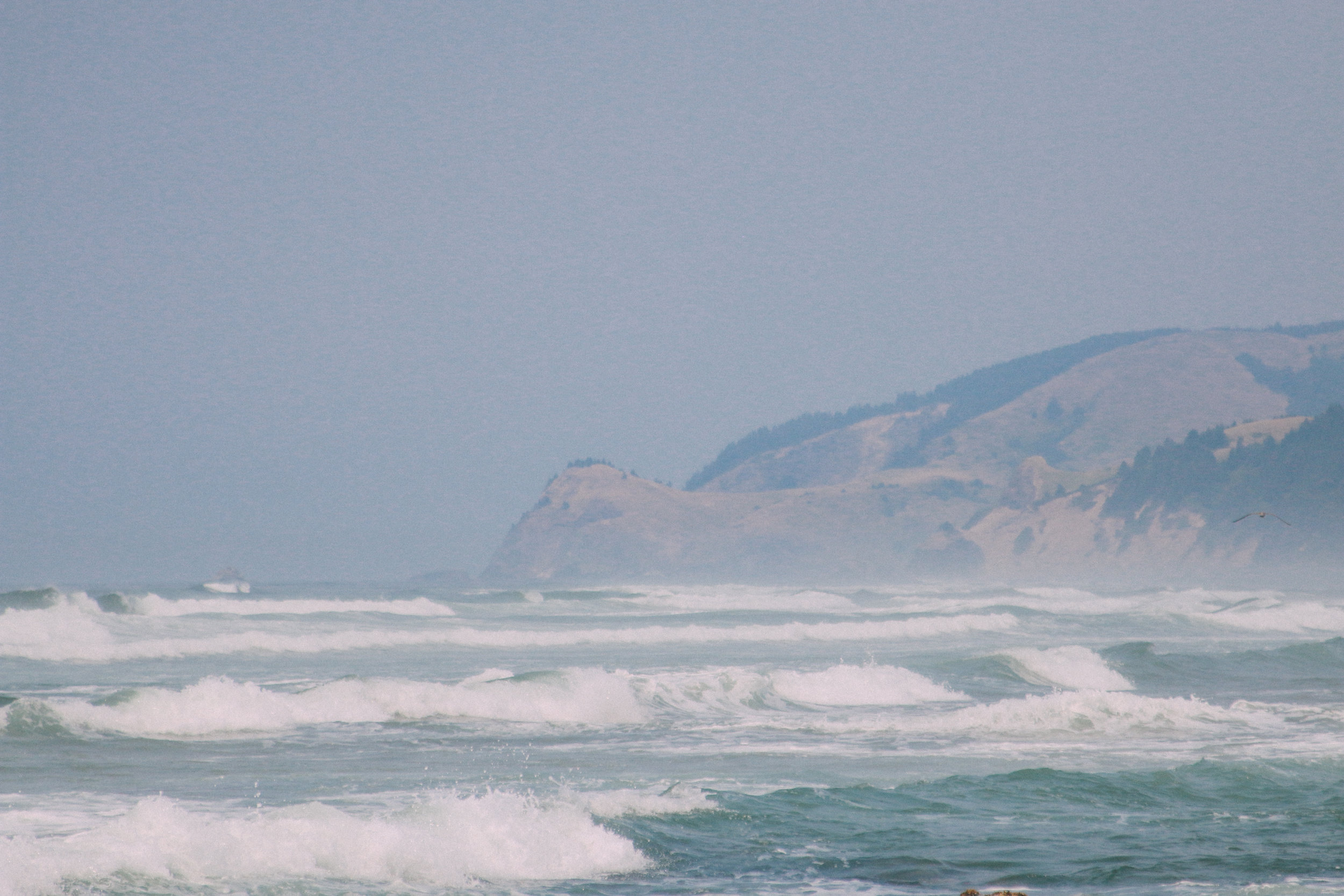 PNW-21.jpg