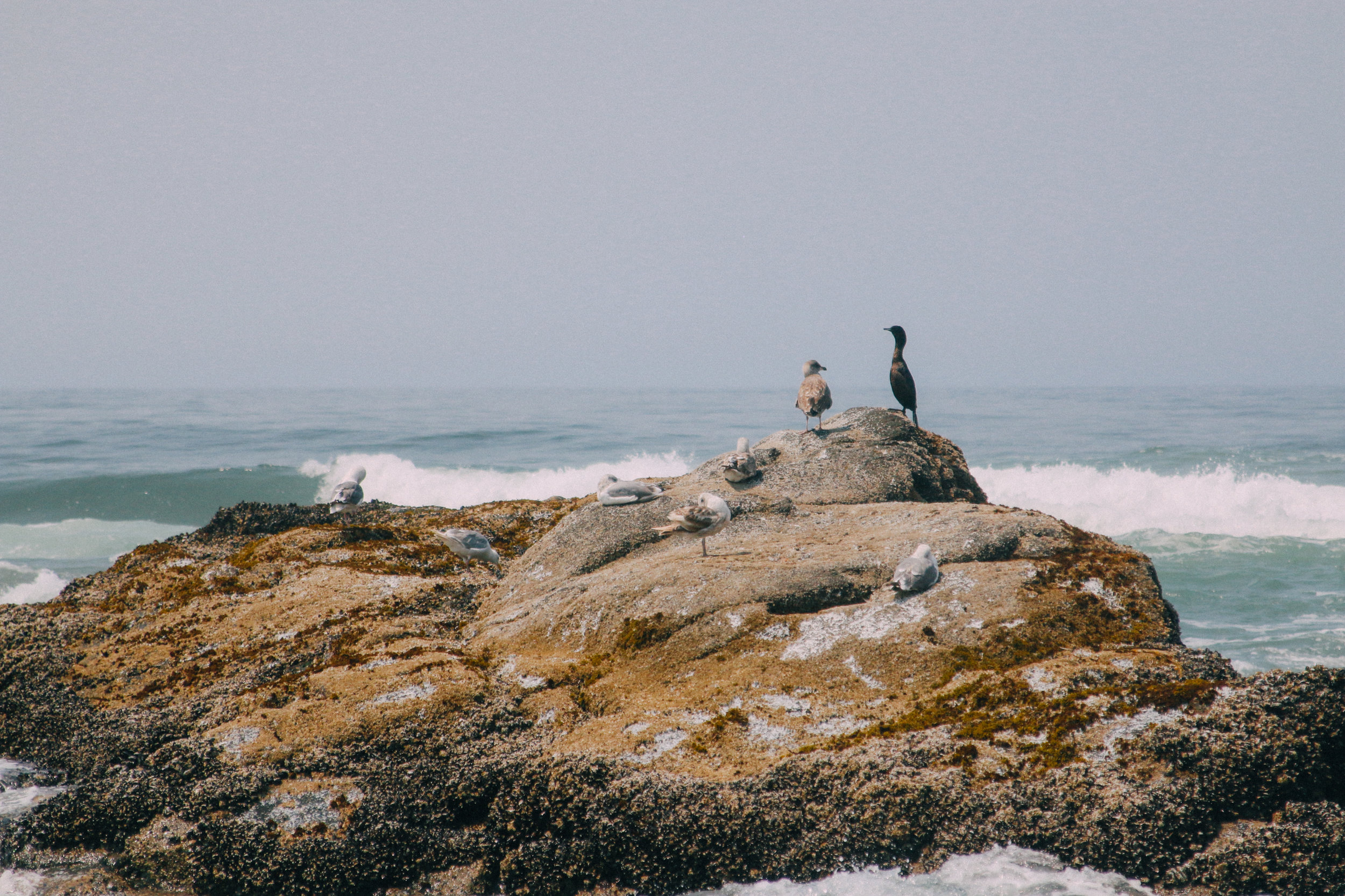 PNW-23.jpg