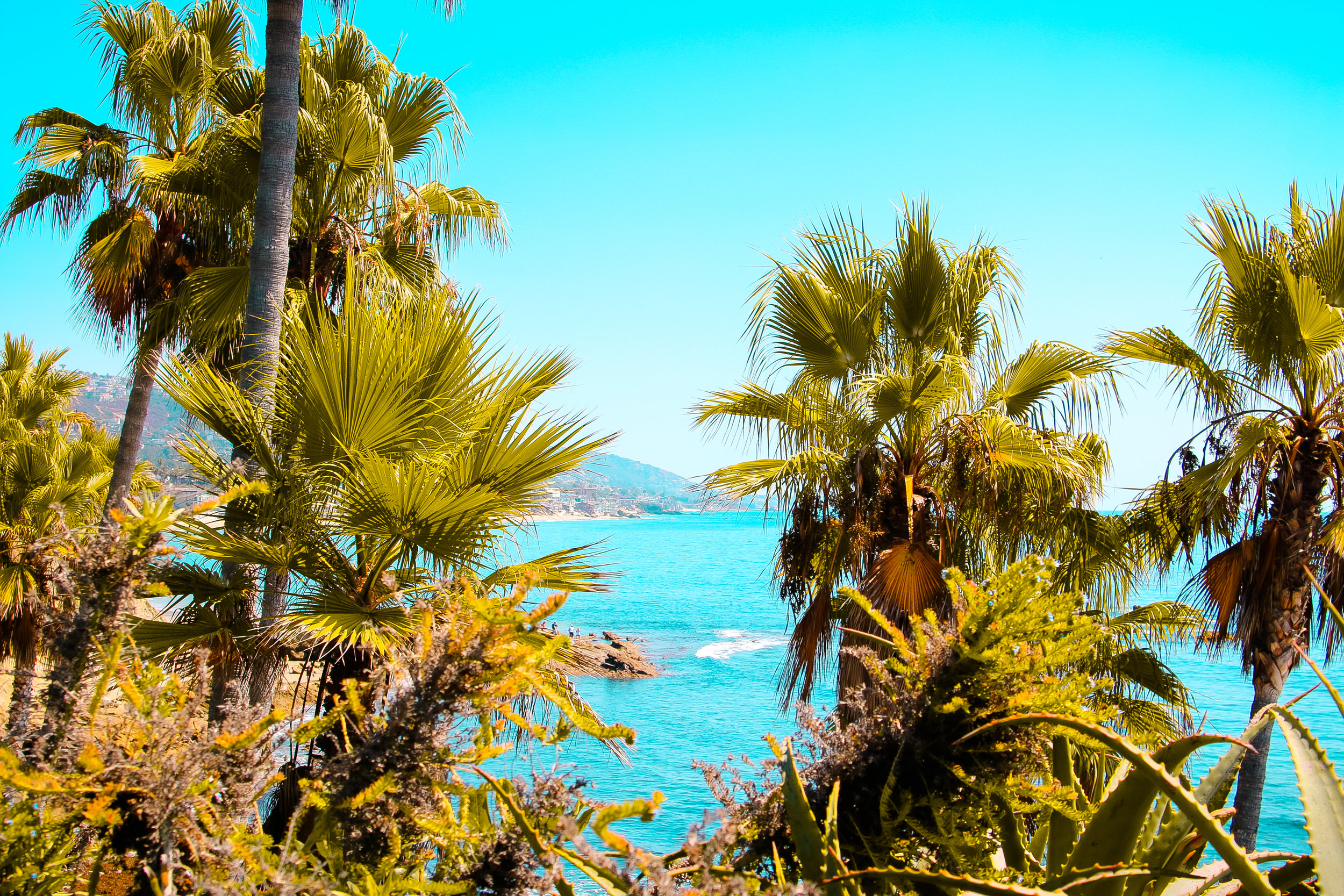 lagunabeach-9.jpg